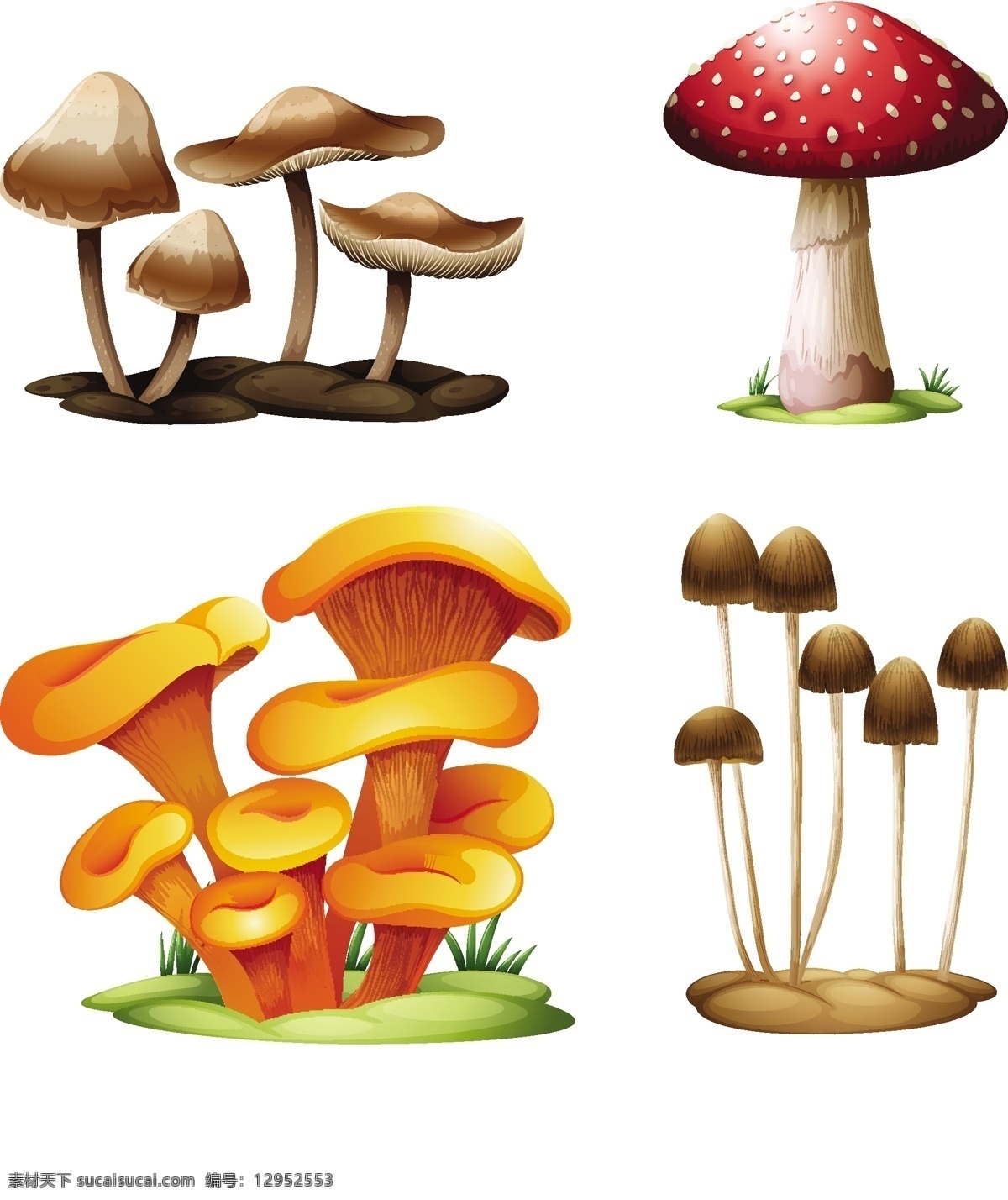卡通 蘑菇 矢量 绘画 蔬菜水果 生物世界 蘑菇设计 矢量蘑菇 蘑菇素材 食物蔬菜