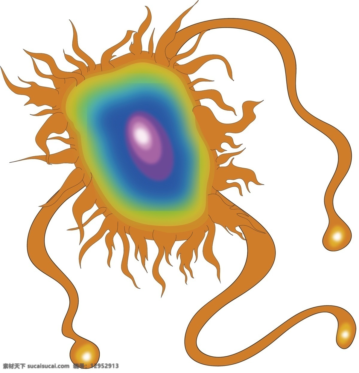 杆 球菌 细菌 插画 杆球菌 细菌插画 卡通插画 细胞膜插画 细胞壁 核糖体 病菌 螺旋菌 单细胞生物