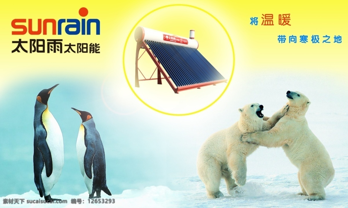 太阳雨 太阳能 平面广告 dm宣传单 北极熊 广告设计模板 企鹅 源文件 海报 其他海报设计