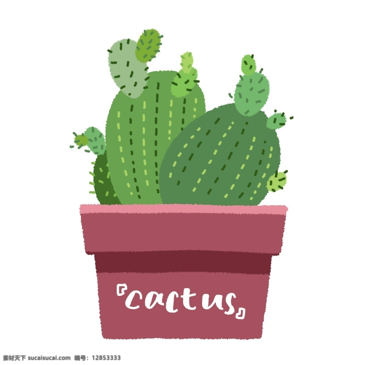 红色 花瓶 植物 插图 绿色仙人掌 带刺的仙人掌 吓人的仙人掌 沙漠的仙人掌 植物仙人掌 可爱的仙人掌
