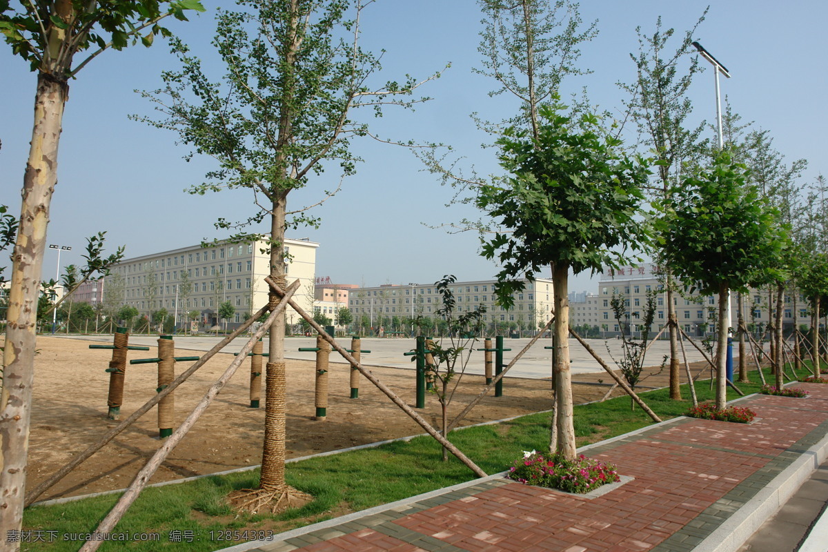 绿化 道路绿化 绿化设计 绿化景观 绿化效果 城市道路 城市绿化 美丽营区 摄影作品 自然景观 建筑景观