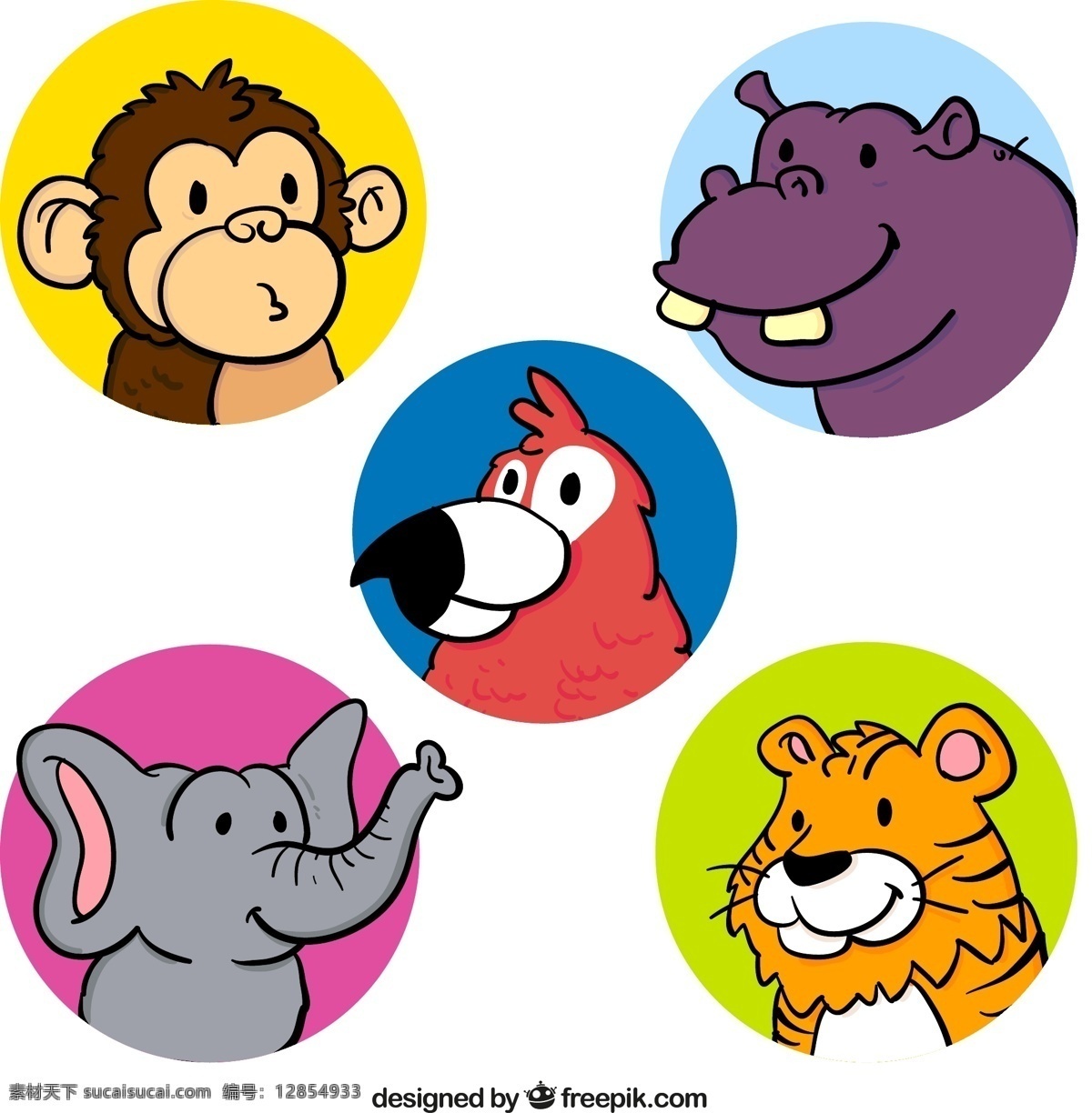 款 彩色 动物 头像 矢量 动物头像 圆形头像 猴子 河马 鹦鹉 大象 老虎 矢量图 ai格式