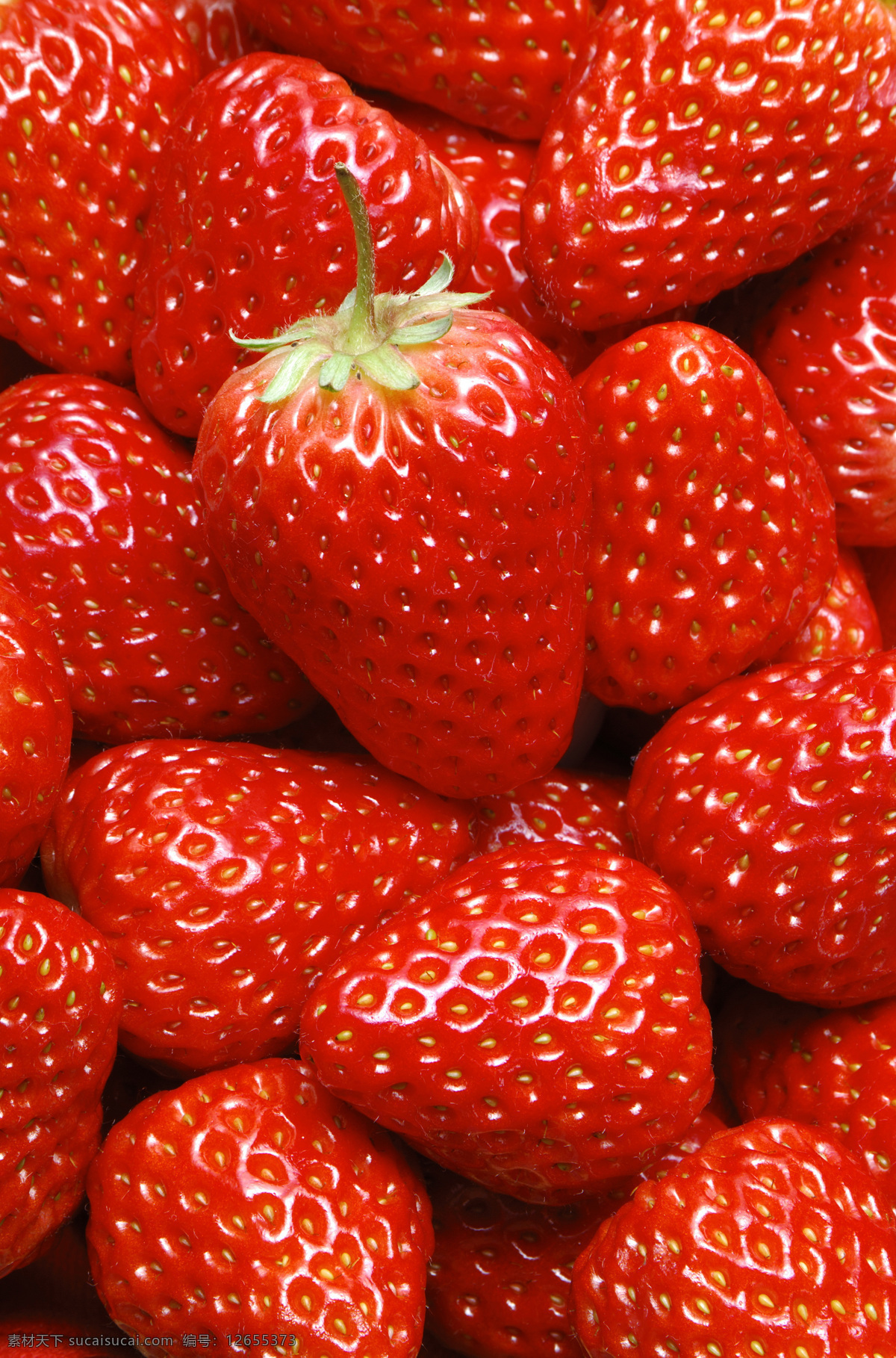 草莓 千姿百态 水果 生物世界