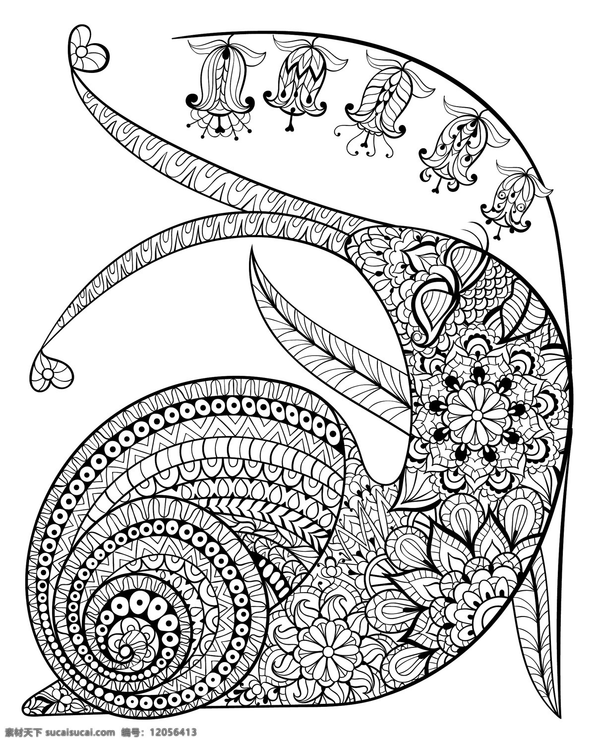 黑白 艺术 时尚 蜗牛 插画 花纹 昆虫