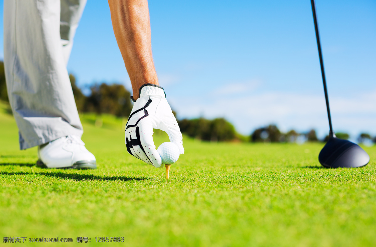 高尔夫球场 高尔夫球杆 休闲运动 高尔夫球 草皮 绿草地 文化艺术 体育运动