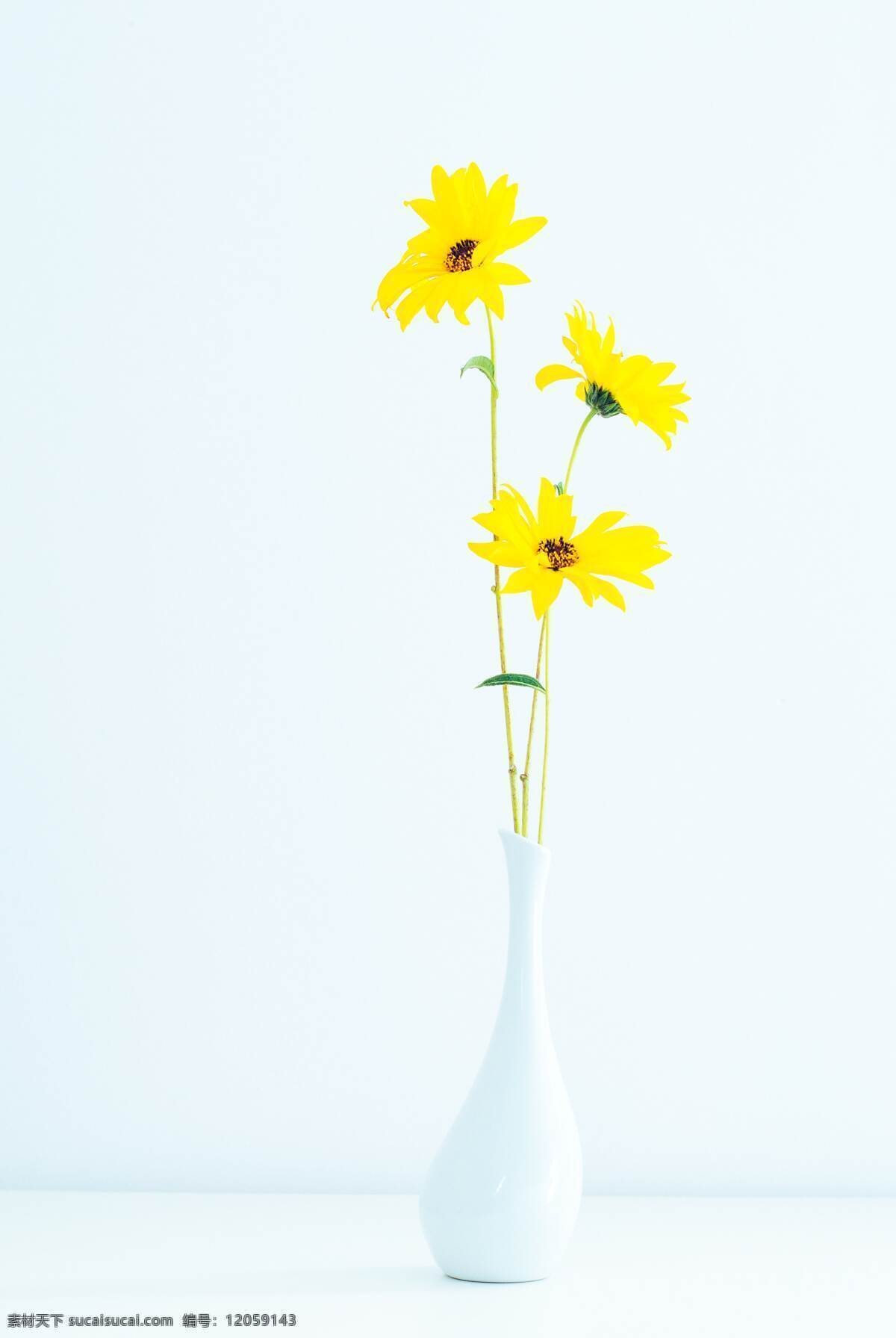 黄色小花 黄色 花朵 白色 花瓶 背景 壁纸 生物世界 花草