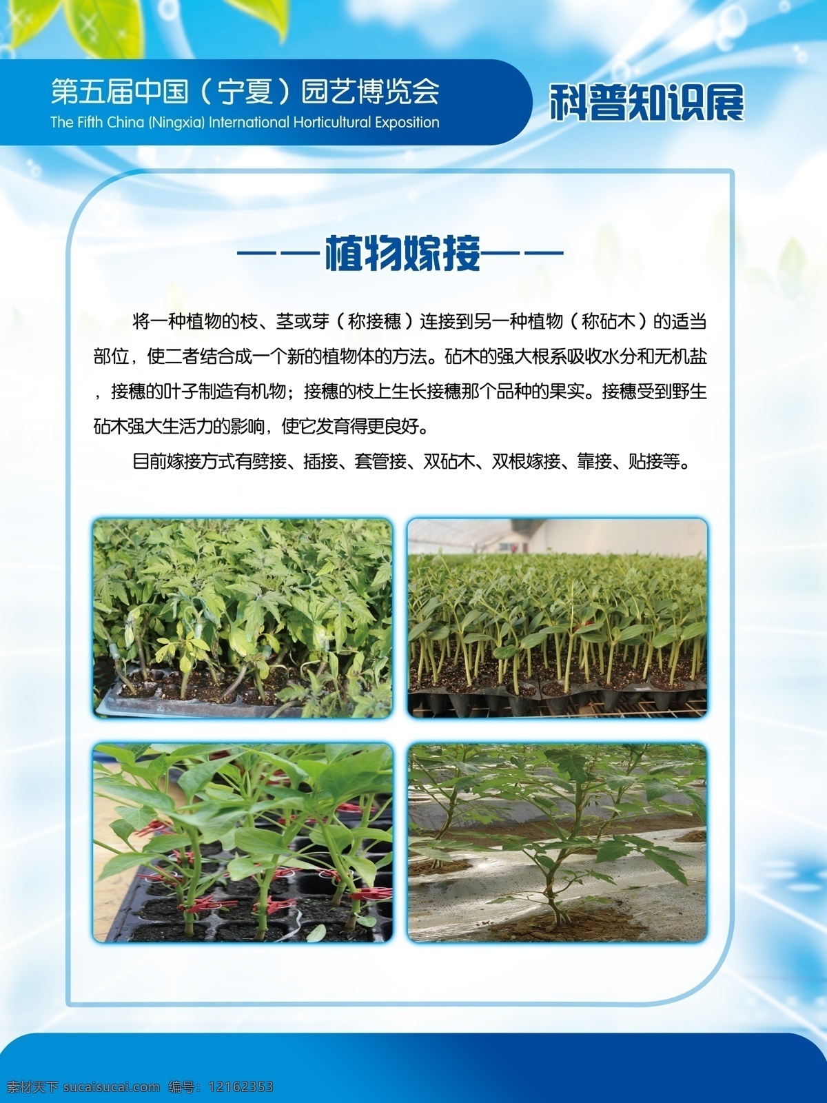 农业展板 中国 宁夏 第五届 园艺博览会 科普知识展 蔬菜 蔬菜嫁接方式 展板模板 广告设计模板 源文件