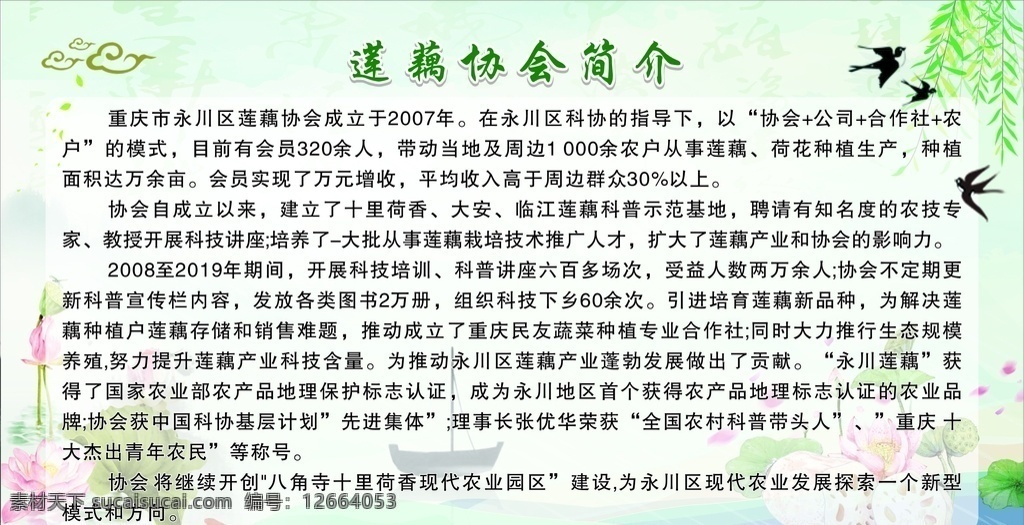 莲藕展板 展板 荷花 荷花展板 莲藕协会简介 展板模板