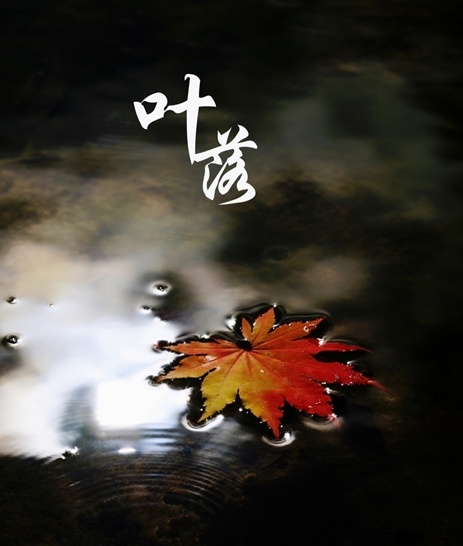 水中 落叶 枫叶 水 自然风景 模板