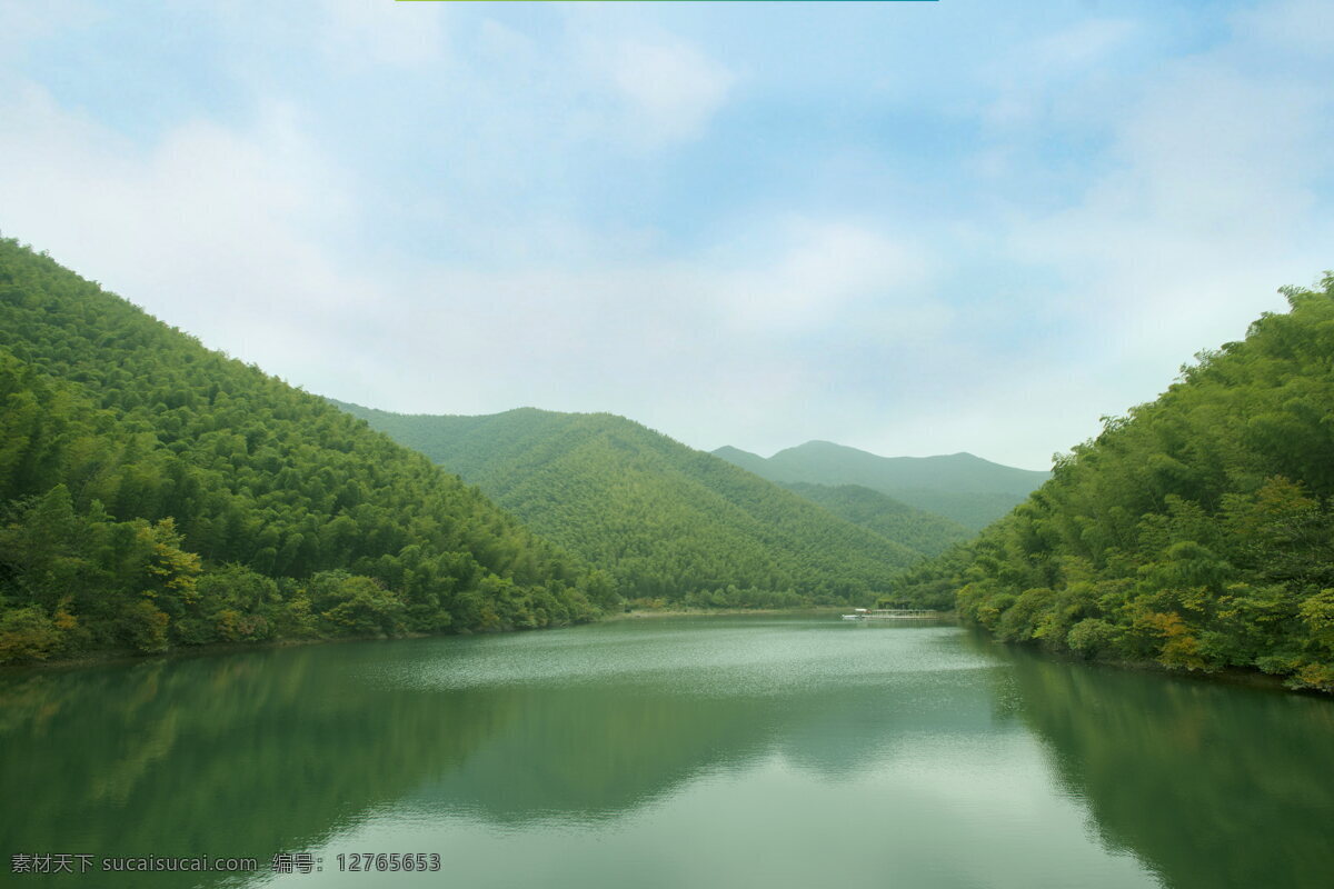 美丽 南山 竹海 风景 高清 南山竹海 竹林 山水 绿叶 绿竹