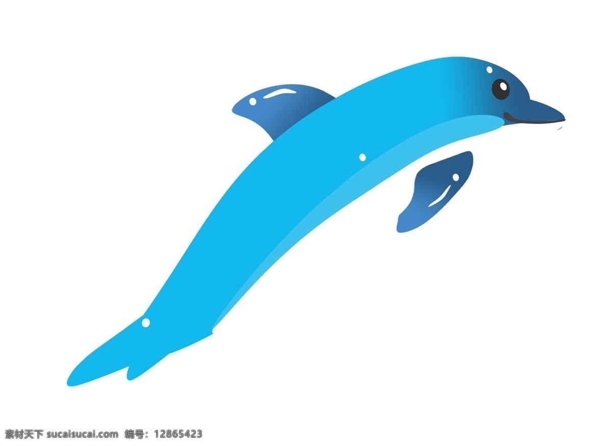 水族馆 蓝色 海豚 动物 海洋