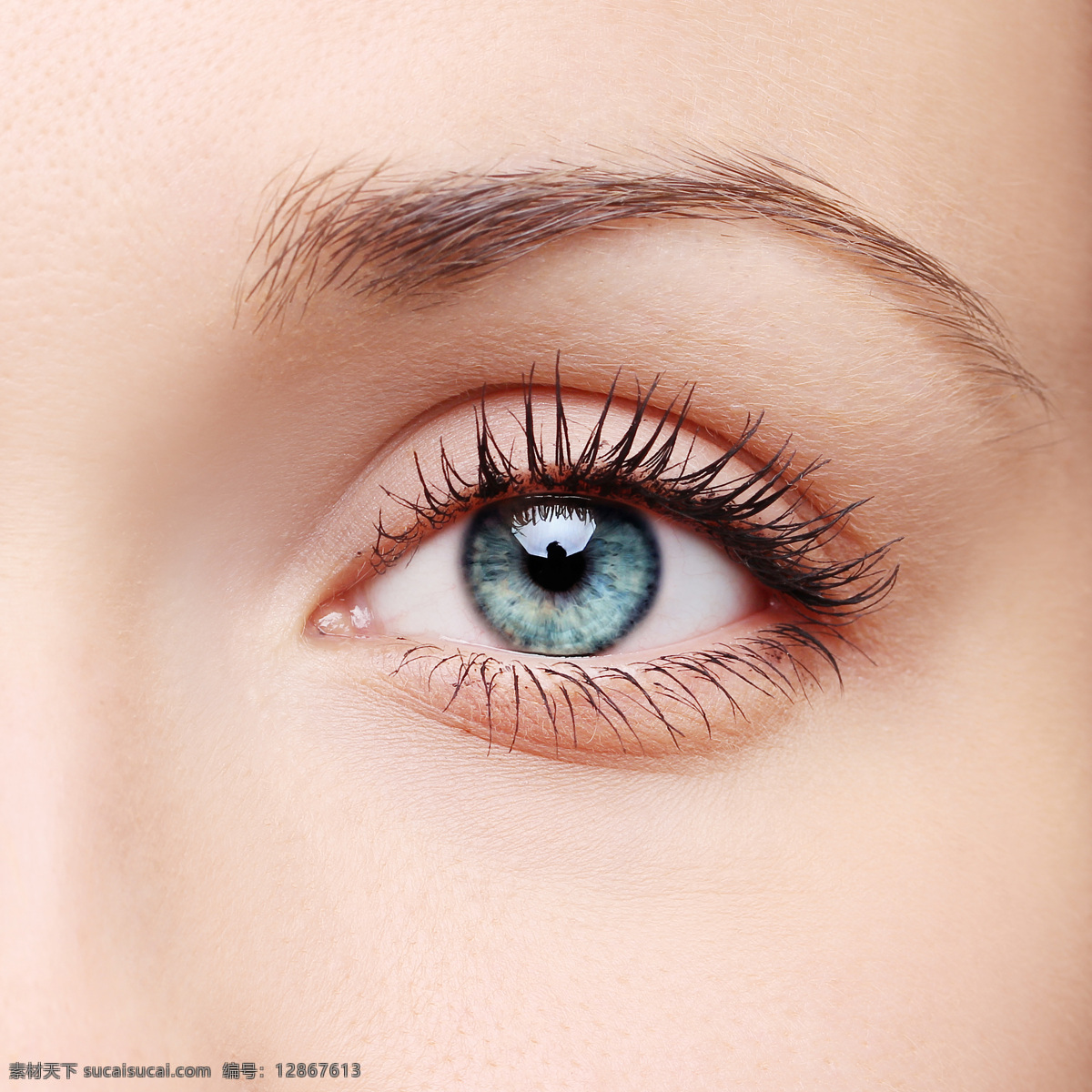 美女 眼睛 睫毛 眼睛特写 瞳孔 眼珠 眼球 女性眼睛 人体器官图 人物图片