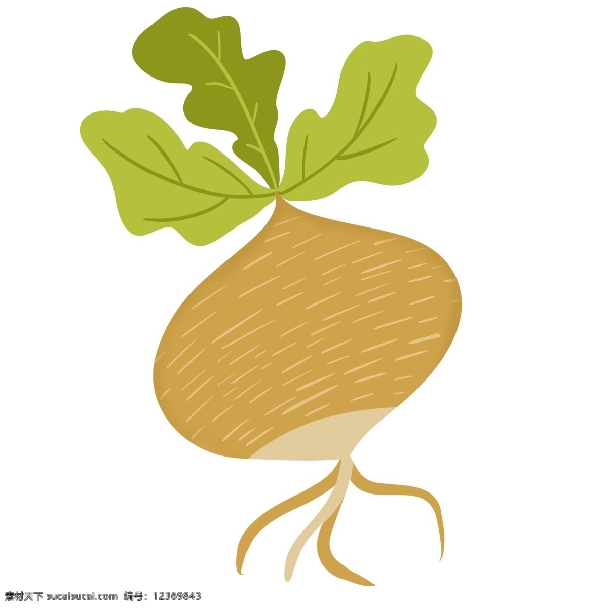 土 萝卜 蔬菜 手绘 卡通 可爱 黄色 土萝卜 食物 美食 做菜 菜 种萝卜 拔萝卜 装饰