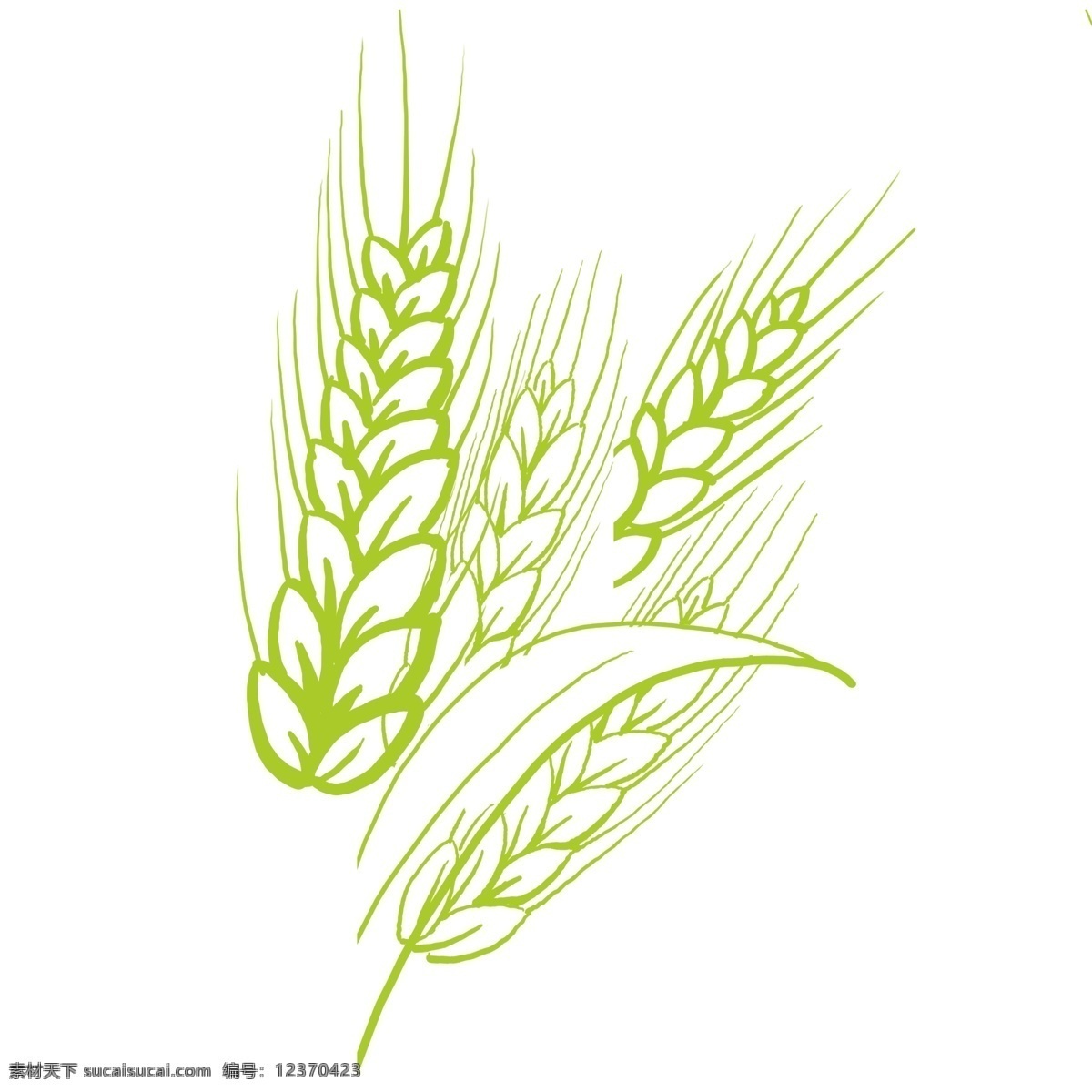 绿色 清新 麦子 透明 插画 免扣素材 透明素材 卡通素材 可爱 植物