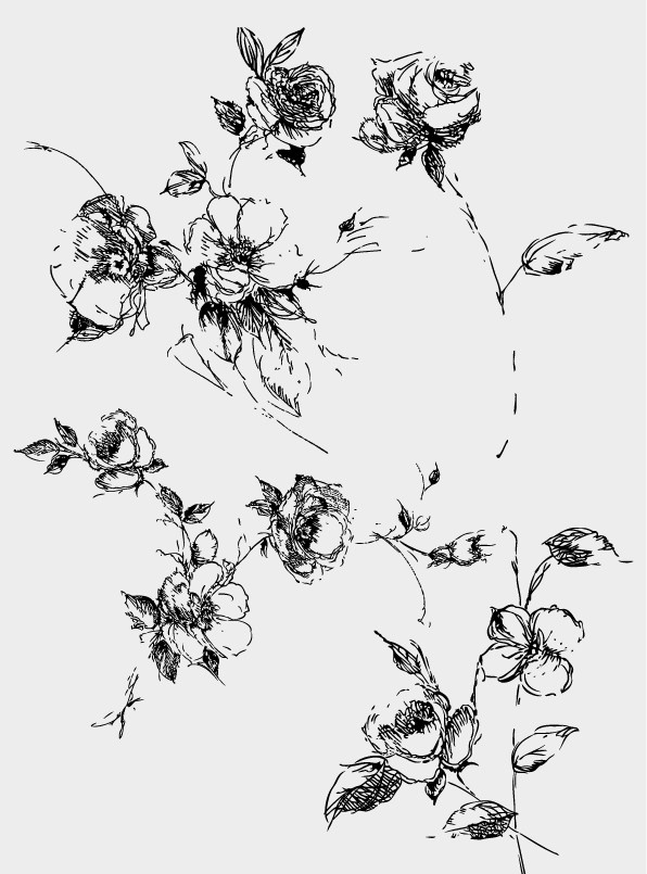 手绘玫瑰 手绘 玫瑰 花 速写 钢笔手绘 线描 素描 月季 花卉 绘画 美术绘画 文化艺术 矢量