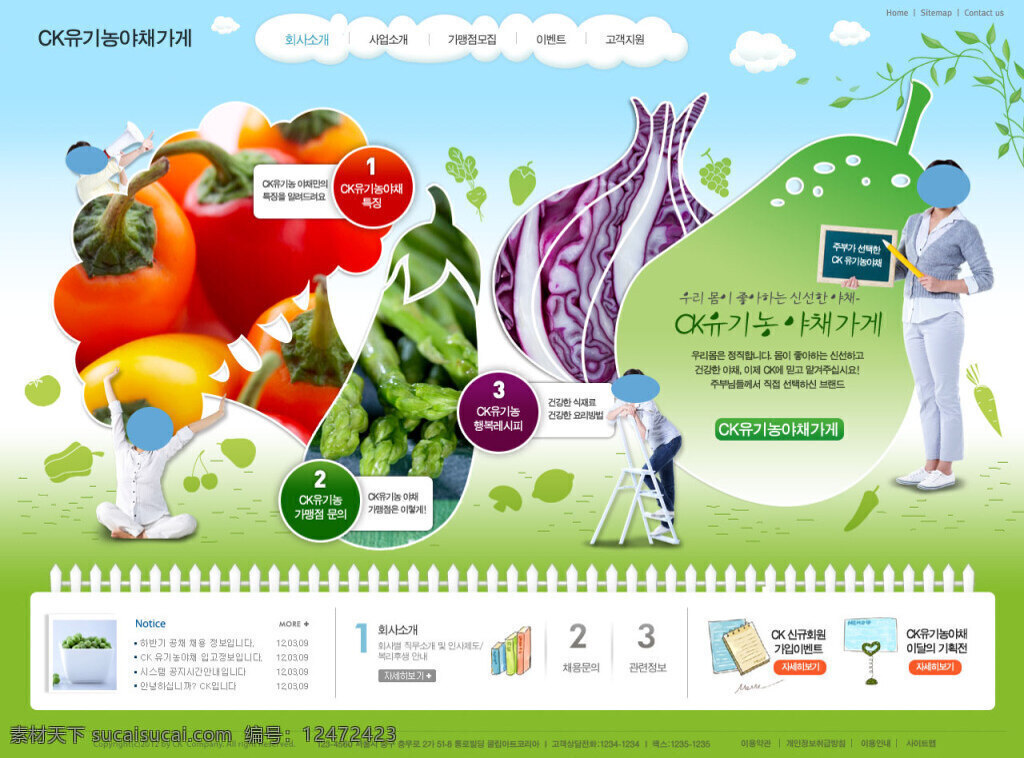韩国 绿色 营养师 网页 模板 模板下载 网页界面 白色