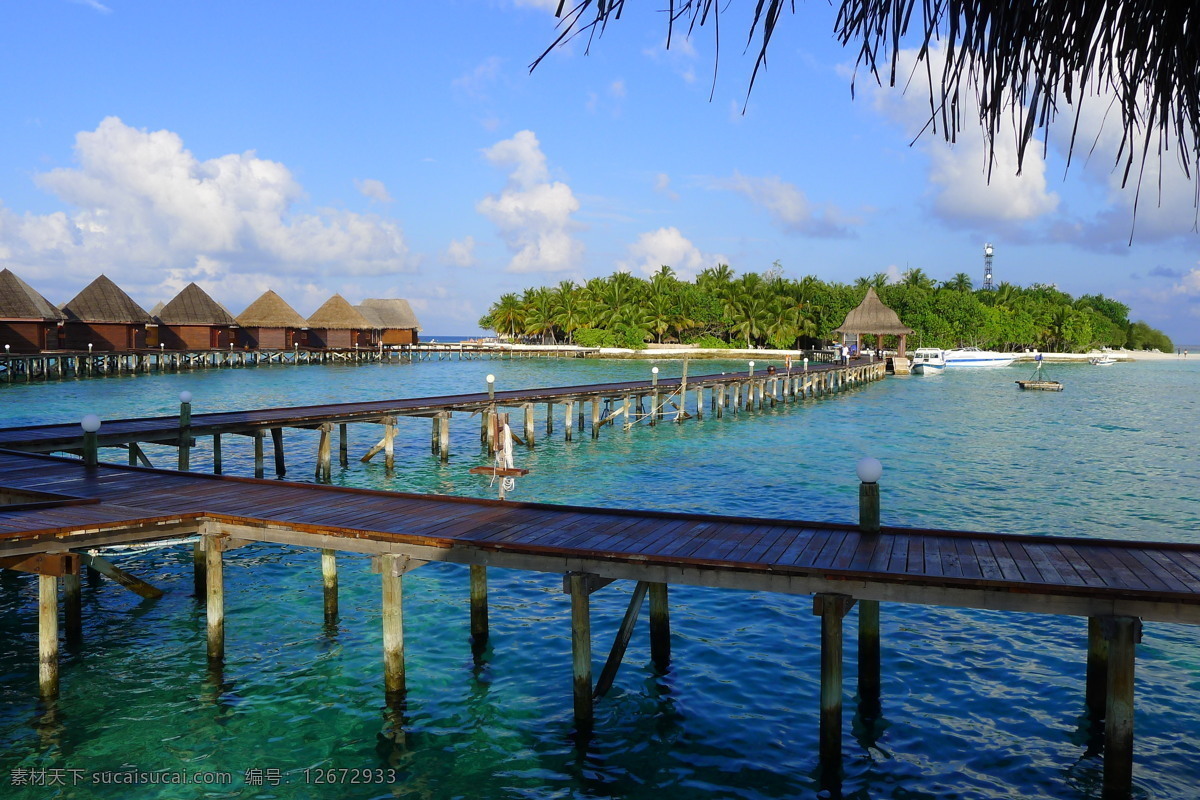 美丽的小岛 马尔代夫 蓝色美人蕉 大海 清澈 蓝天 白云 栈桥 快艇 水上屋 椰子树 国外旅游 旅游摄影