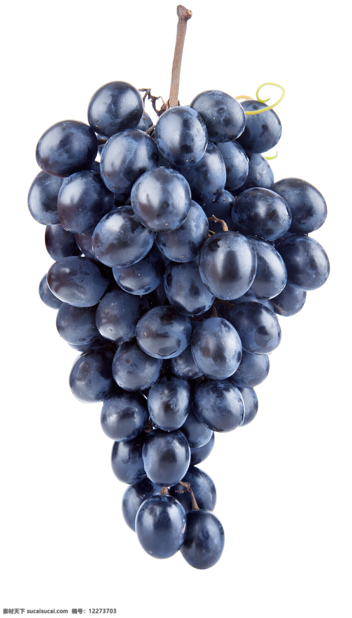 紫葡萄摄影 葡萄 葡萄摄影 紫葡萄 水果 水果摄影 水果素材 水果蔬菜 餐饮美食 白色