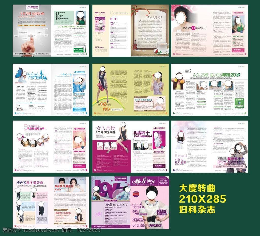 妇科 妇科杂志 宫颈 精品杂志 人流 乳腺 三八杂志 手术 杂志 炎症 院内杂志 妇科精品 医疗宣传 矢量 节日素材 妇女节