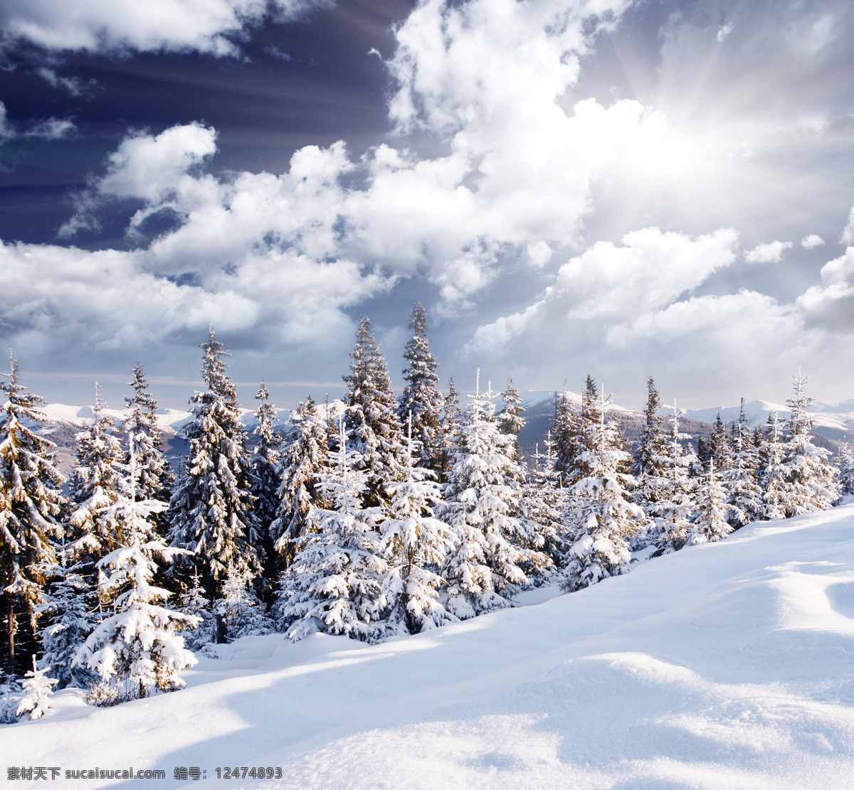 冬季 雪景 冬天 美丽风景 景色 美景 积雪 雪山 雪地 森林 雪景图片 风景图片
