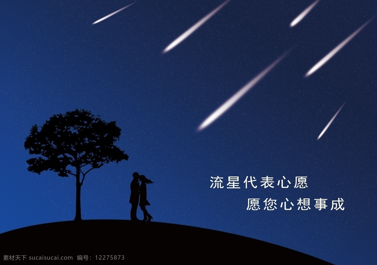 星空 情侣 星语星愿 拥抱 流星 大树