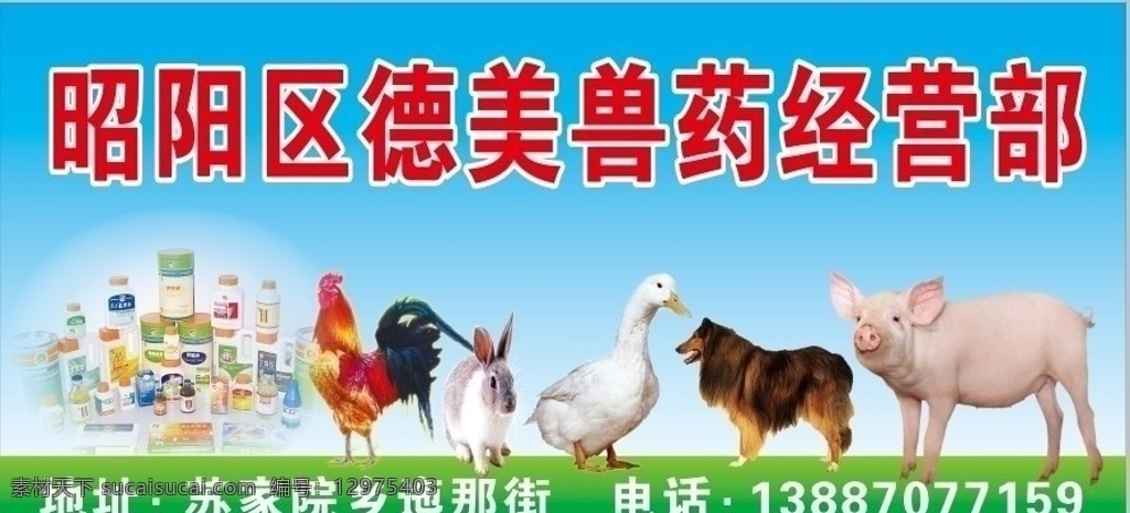 兽药经营部 兔子 鸡 猪 药 矢量