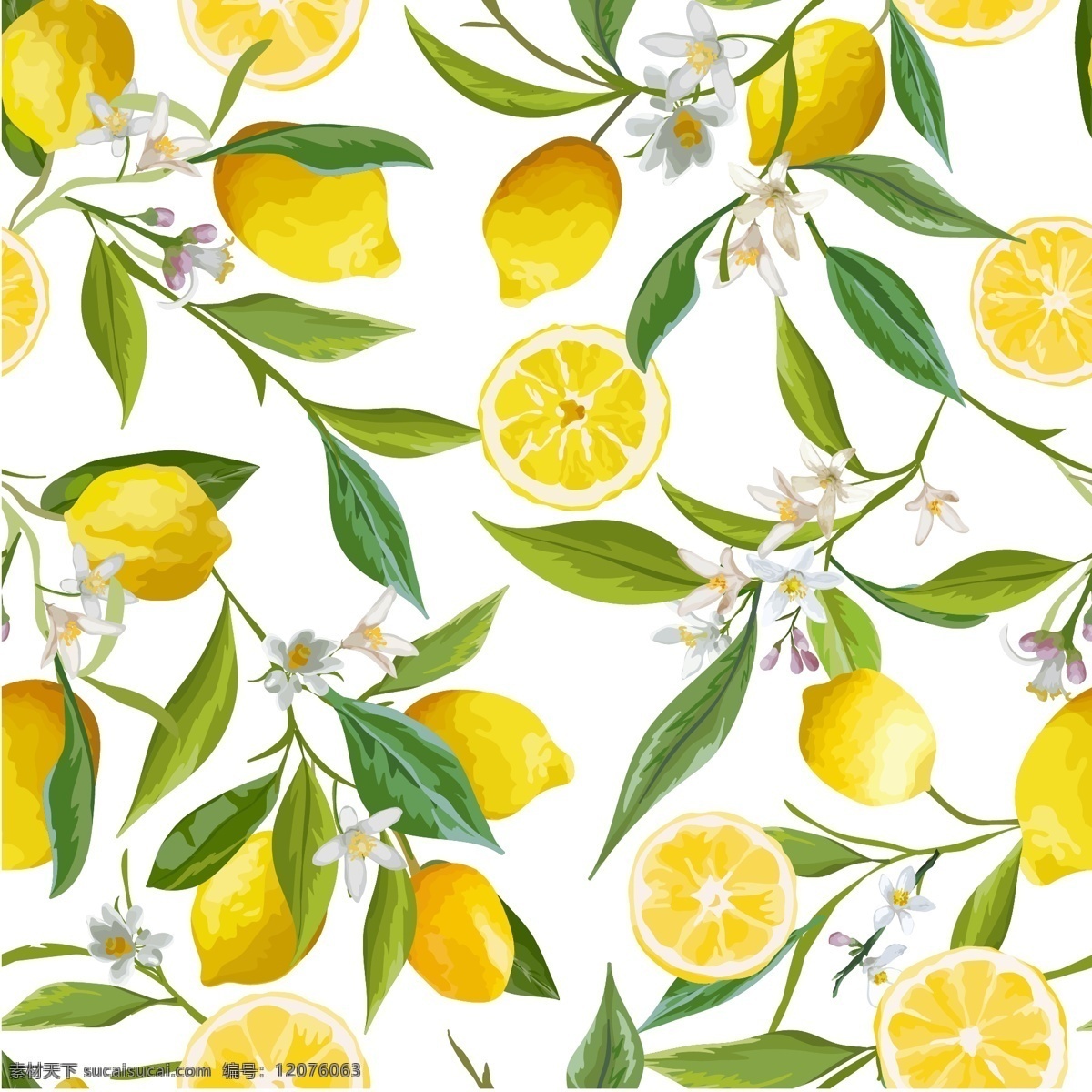 插画 柠檬 清新 时尚 水果 叶子 植物