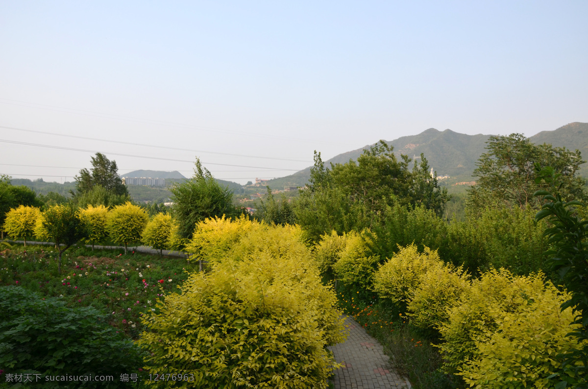 绿植 花卉 花艺 盒景 园艺 柳仙谷 旅游摄影 国内旅游
