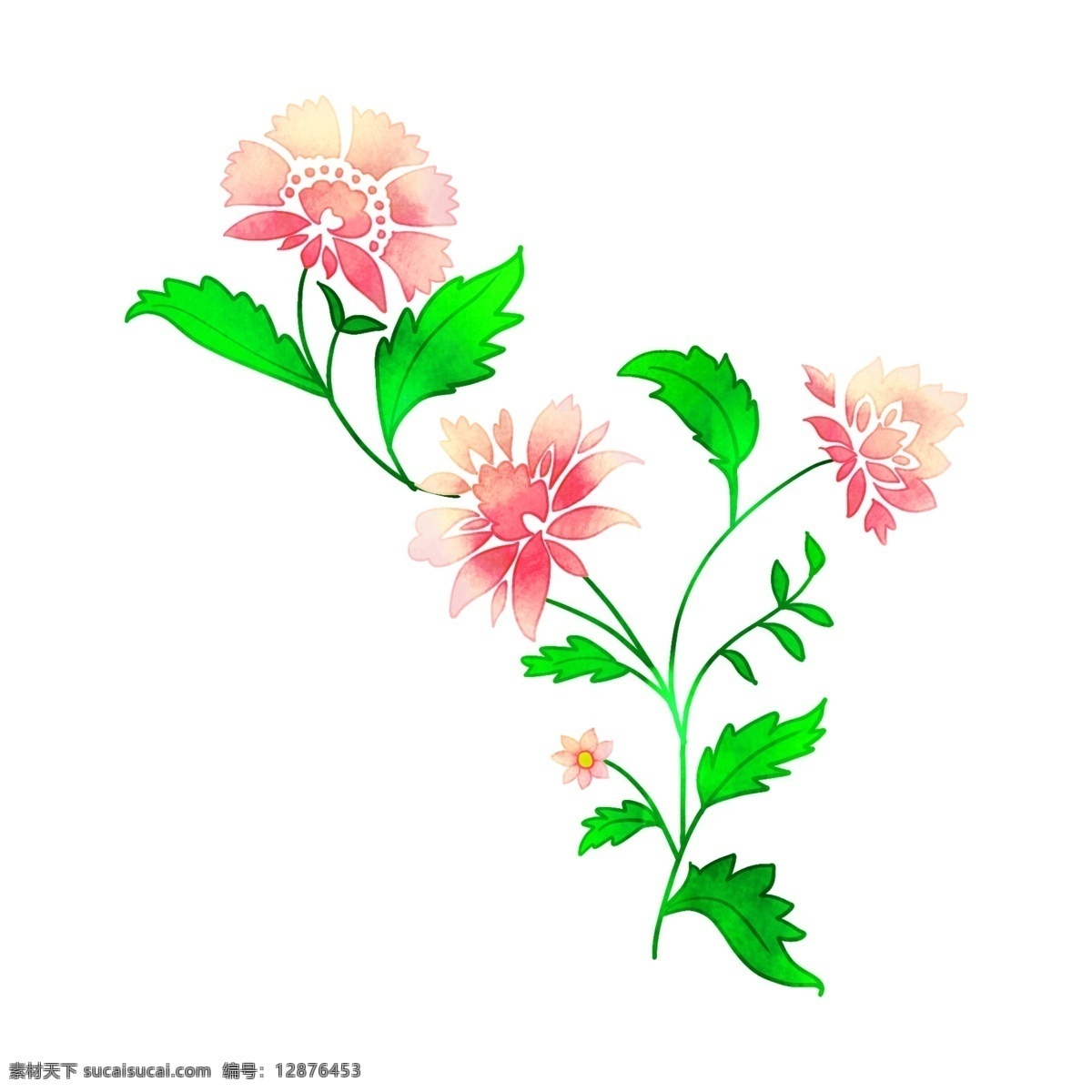 漂亮 春天 花 藤 插画 漂亮的花藤 卡通插画 花藤插画 花朵插画 鲜花插画 花卉插画 漂亮的花朵