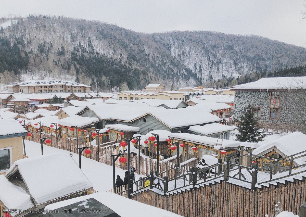 雪村 哈尔滨 农村 雪地 雪景 旅游摄影 国内旅游