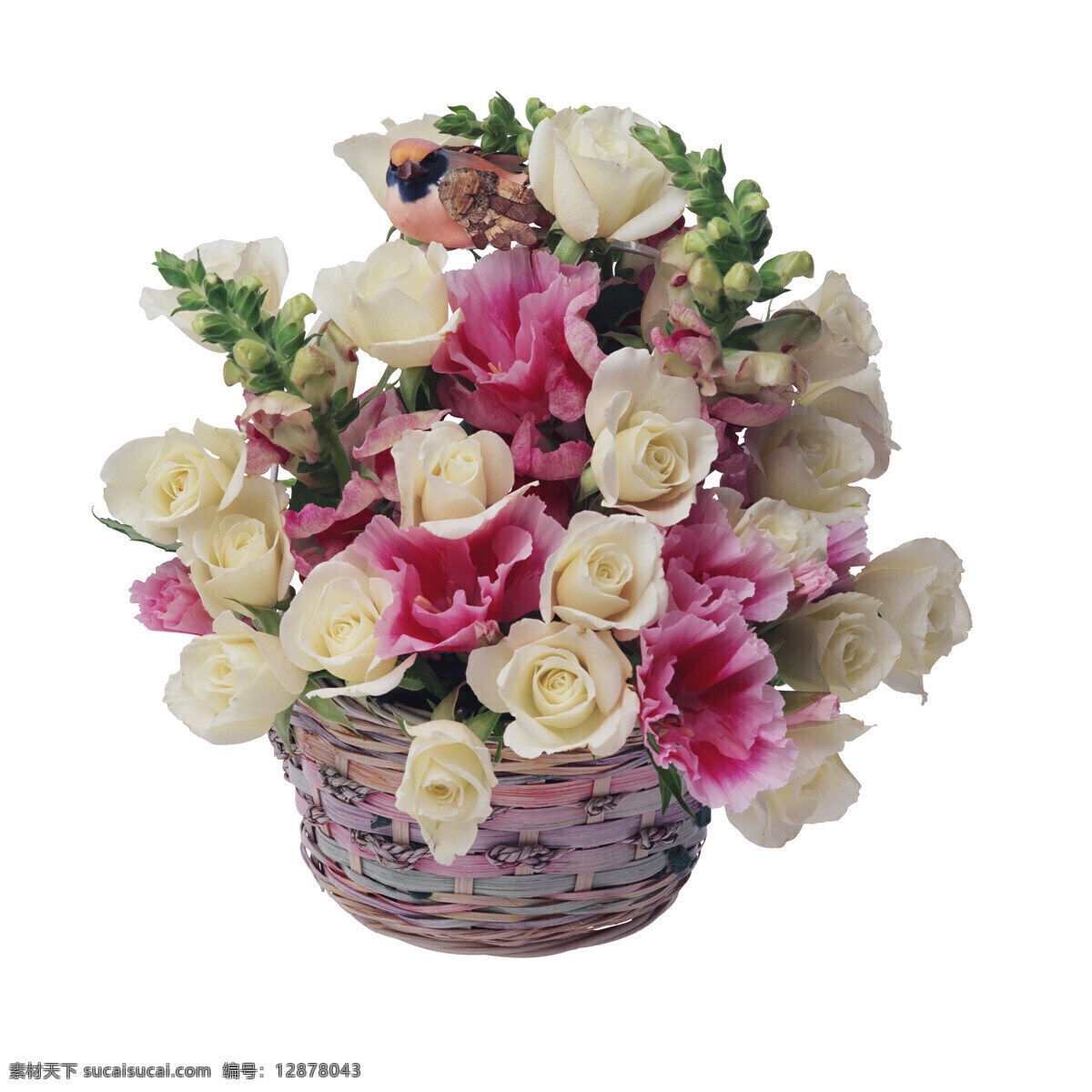 白底 花卉 花朵 花瓣 玫瑰花朵 月季 月季玫瑰 月季花瓣 水彩月季 月季手绘 红色月季 粉色月季 玫瑰花瓣 一枝玫瑰 情人节素材 水彩 水彩花卉 玫瑰花 手绘花卉 水彩素材 花卉背景 玫瑰 百合 花纹花边 小清新素材 花草 小清新 热带树叶 植物 叶子 绿色 热带 生物世界