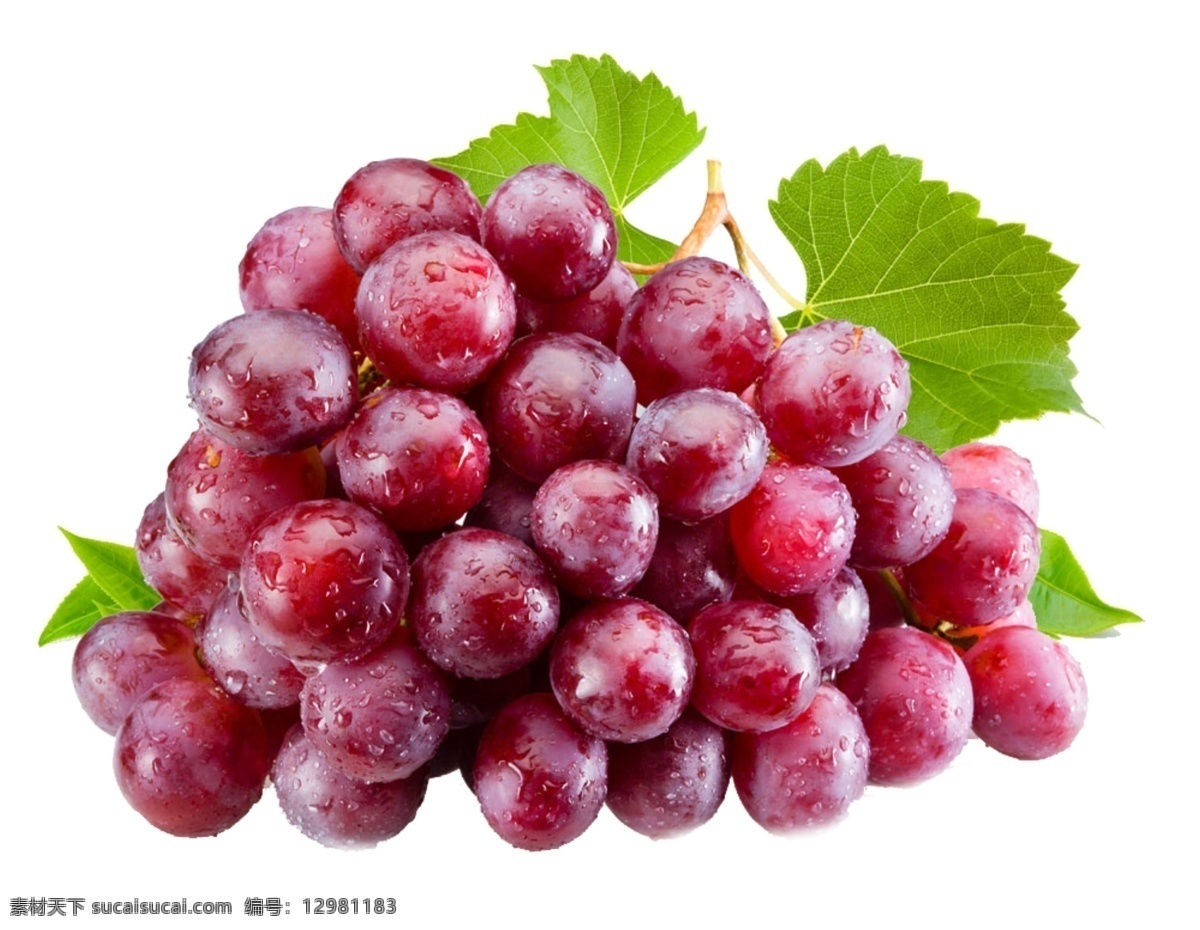 葡萄元素 葡萄 新鲜葡萄 叶子 深红色 水果 白色