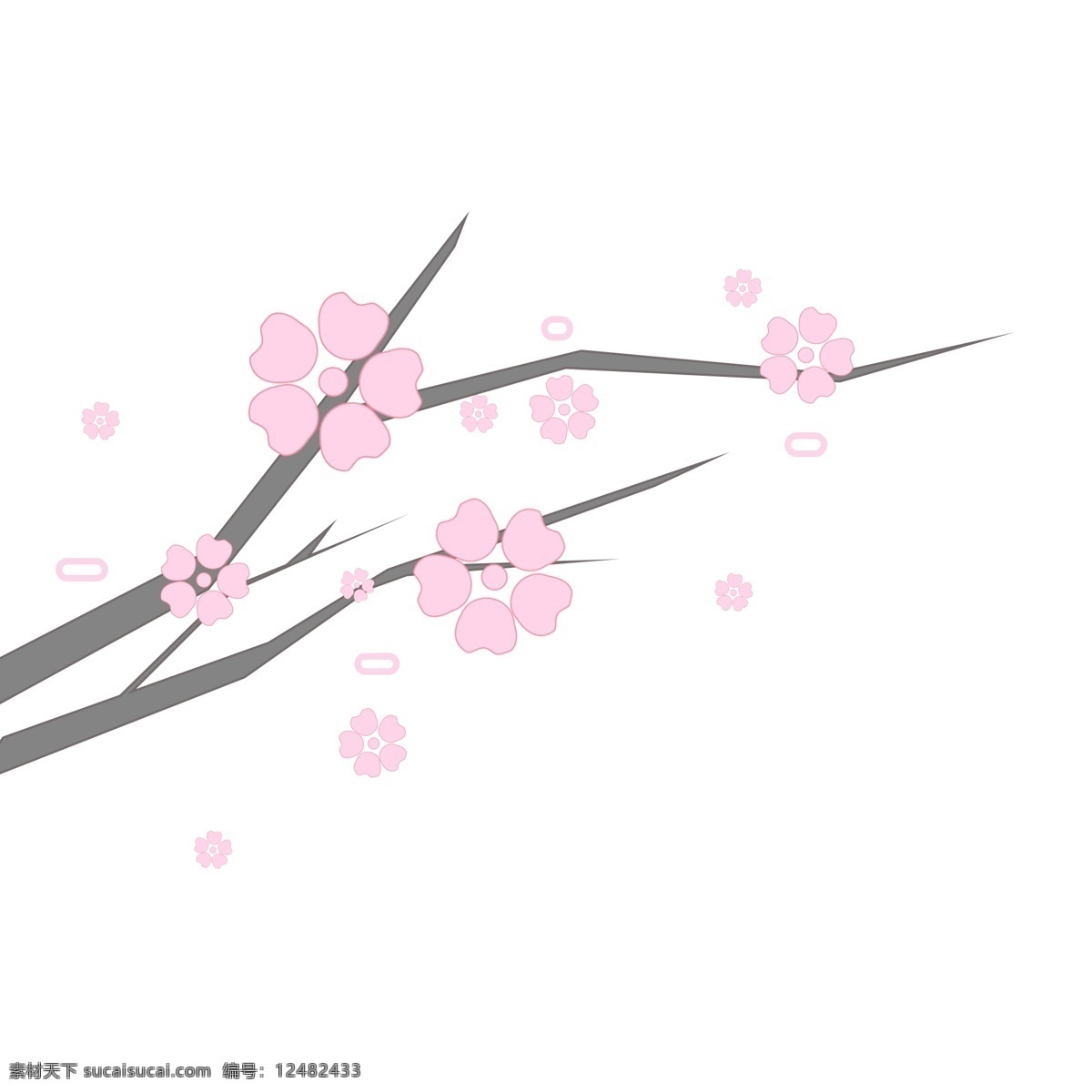漂亮 樱花 枝 插图 唯美樱花 粉色樱花 漂亮的樱花枝 樱花枝插图 盛开的樱花 树枝 花卉