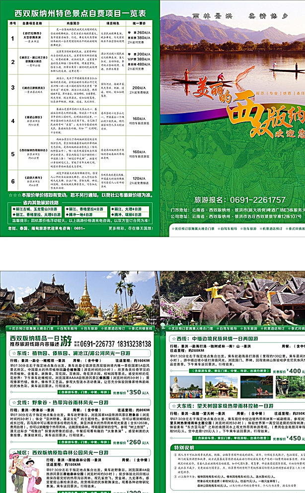 西双版纳 傣族 野象谷 宣传单页 绿色 dm宣传单 白色