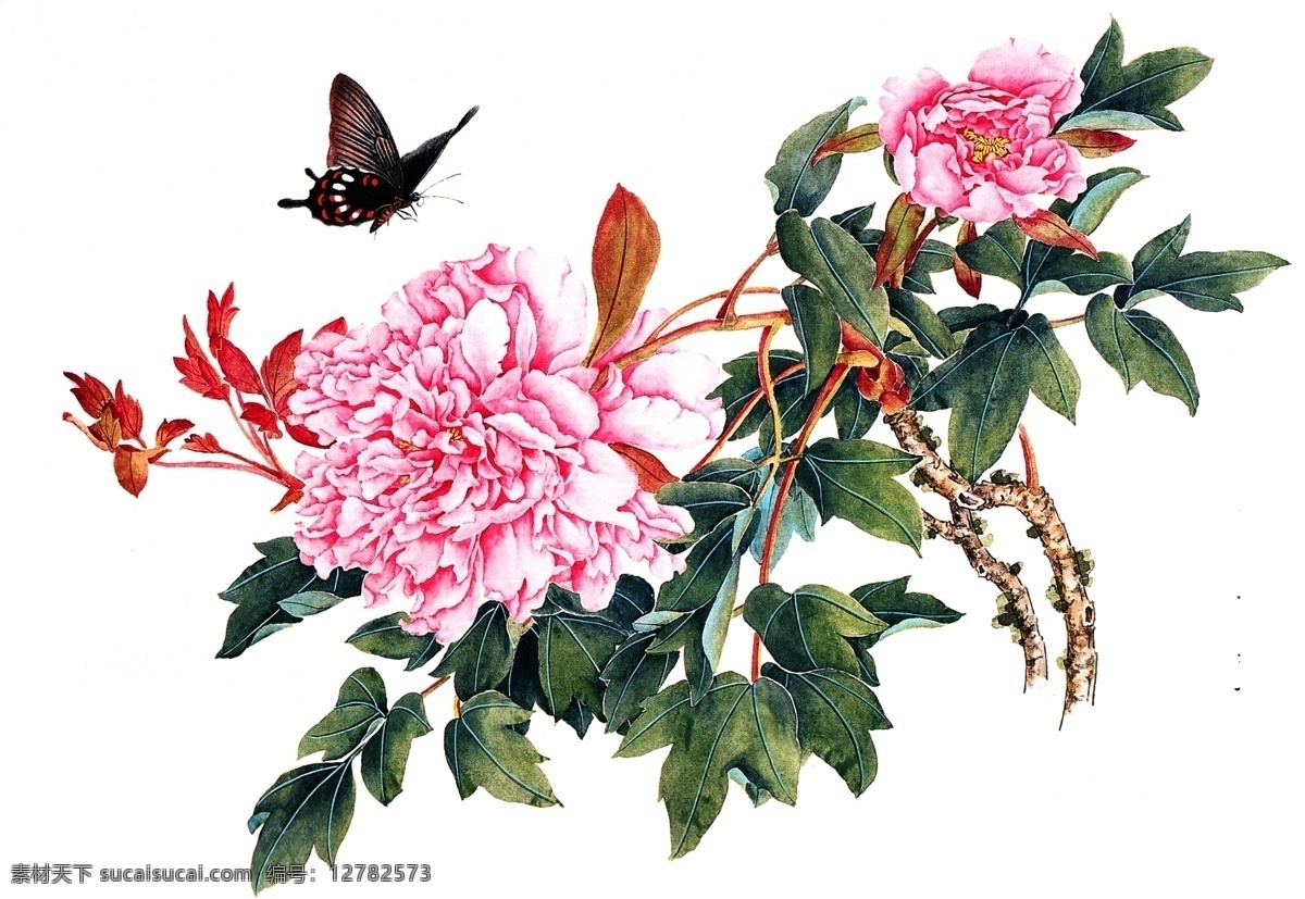 国画 牡丹 蝴蝶 植物 中国画 水墨画 书画文字 文化艺术