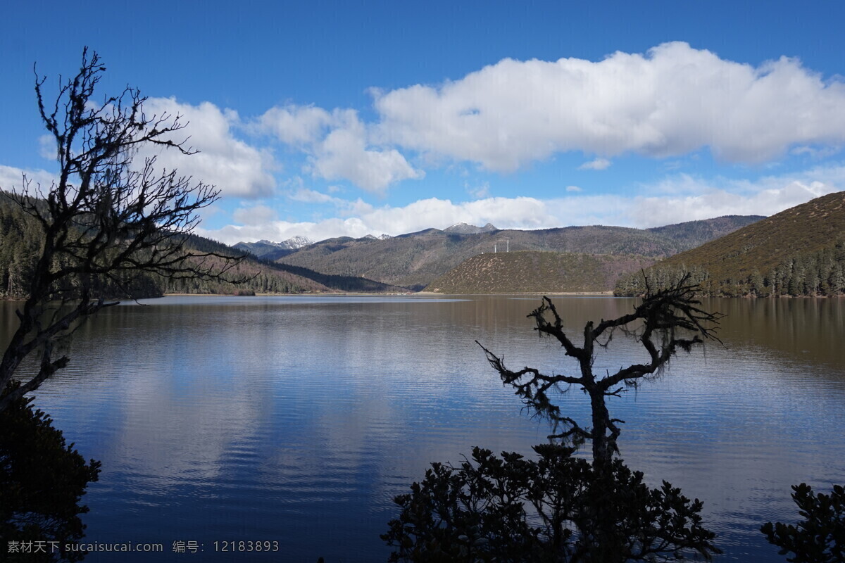 绿水 雪山 蓝天 白云 云海 森林公园 普 达 错 国家森林公园 玉龙雪山 黑色