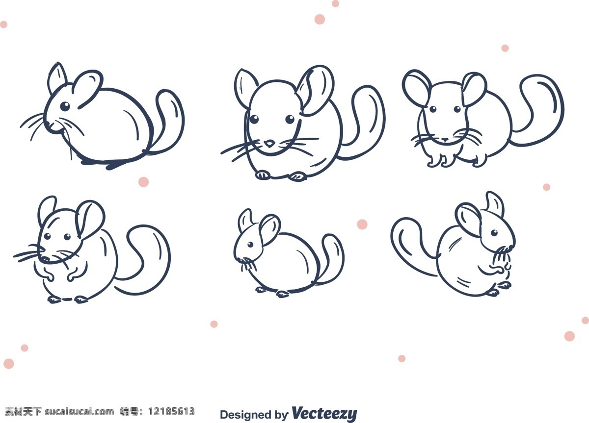 灰鼠向量集 自由向量 背景 龙猫 龙猫向量集 文字 插图 黑色 尾 坐 行 皮毛蓬松 手绘的龙猫 手绘的 可爱的 动物园 野生动物 宠物