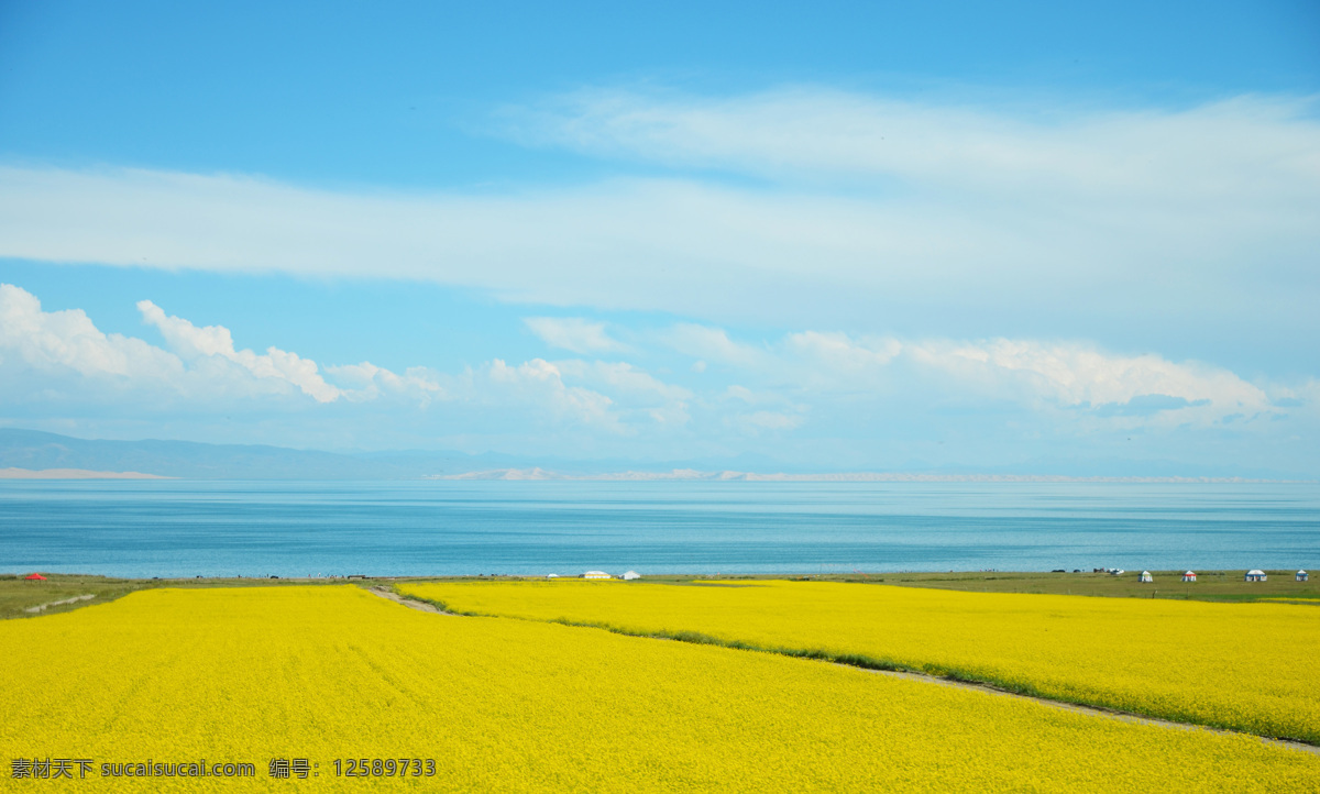 油菜花 蓝天 菜籽 花 云 天空 油菜花田 美丽的油菜 油菜花图片 白云 天空云 彩 白云蓝天 高空中云彩 蔚蓝的天空 花海 油菜花海 春暖花开 菜花地 摄 影 碧空菜花 菜籽花 菜籽花田 唯美油菜花 高清油菜花 高清菜籽花 油菜花图 生物世界 花草