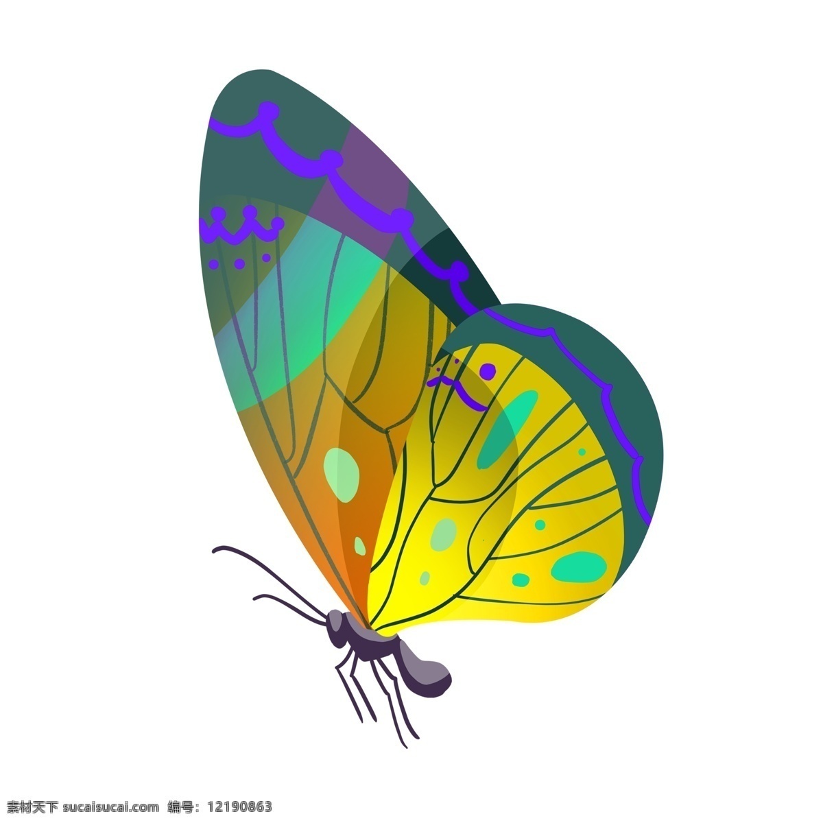 立体 蝴蝶 装饰 插画 立体蝴蝶 黄蓝色的蝴蝶 漂亮的蝴蝶 创意蝴蝶 精美蝴蝶 卡通蝴蝶