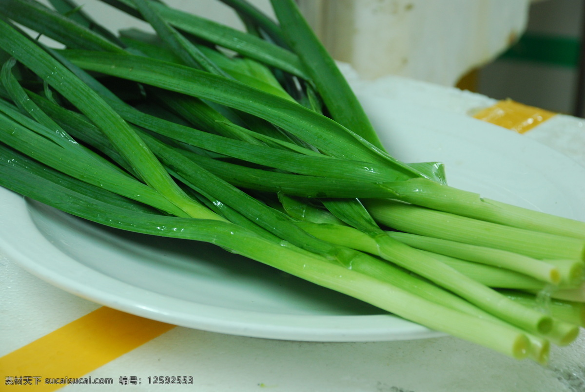 蒜苗 菜谱 菜园 绿色 青菜 生物世界 时蔬 蔬菜 素菜 时令蔬菜 风景 生活 旅游餐饮