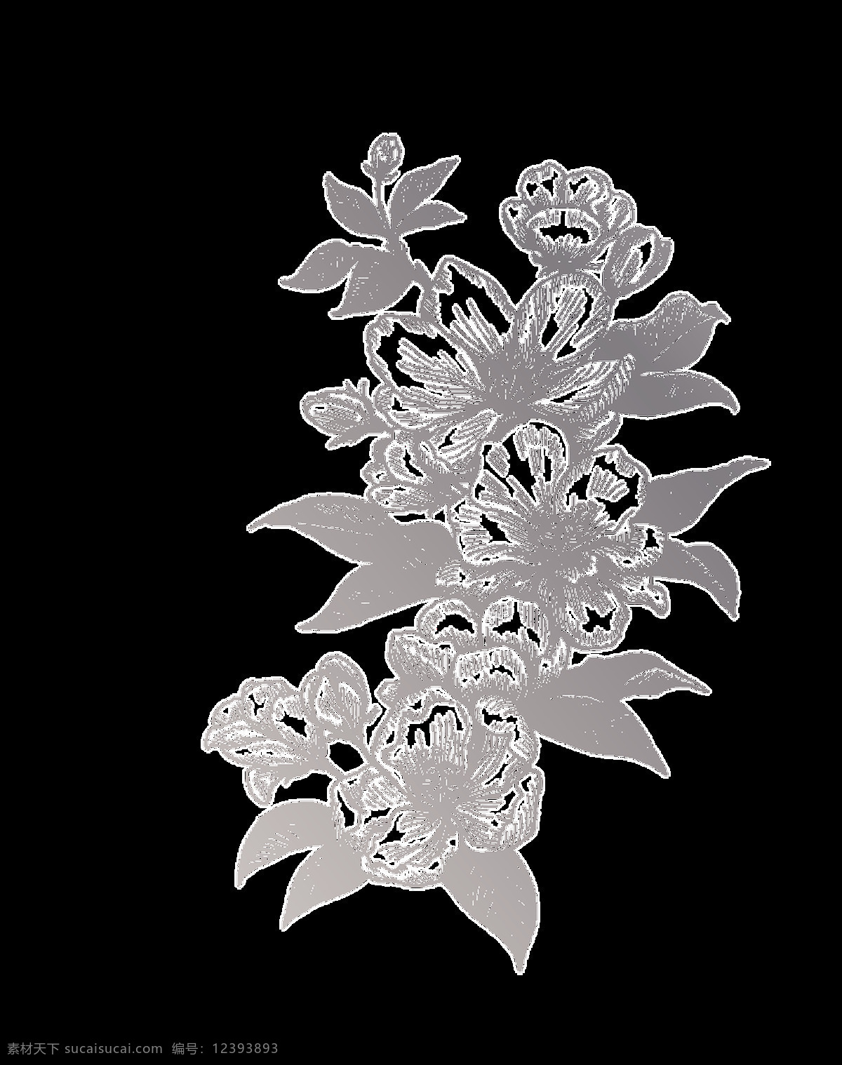 简 笔画 植物 卡通 透明 手绘 素描 黑白 花朵 透明素材 装饰 设计素材 淘宝素材 海报设计装饰 装饰图案