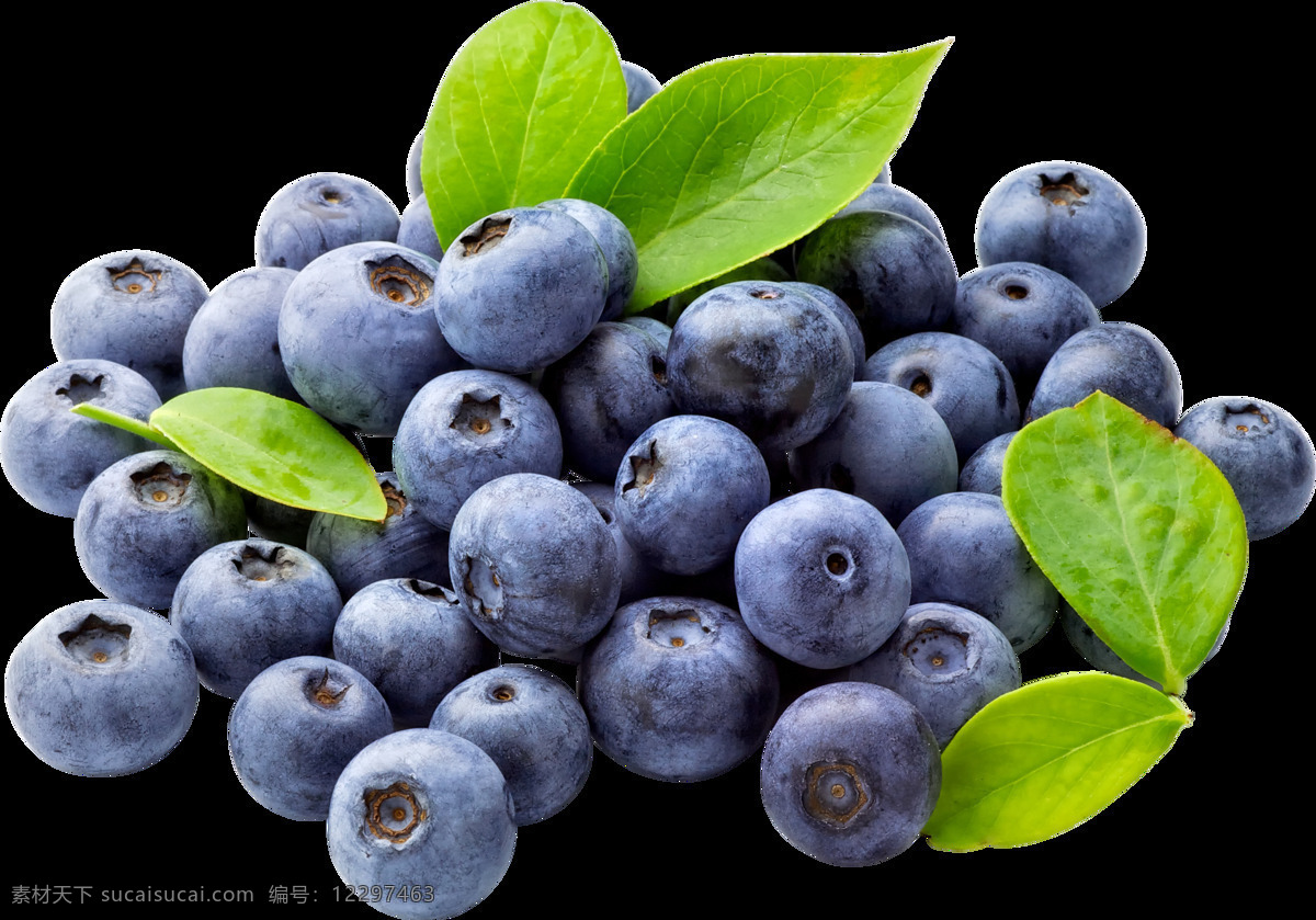 蓝莓食物 免抠图 食物 水果 蓝莓 绿叶 3600x2509px 自然风景