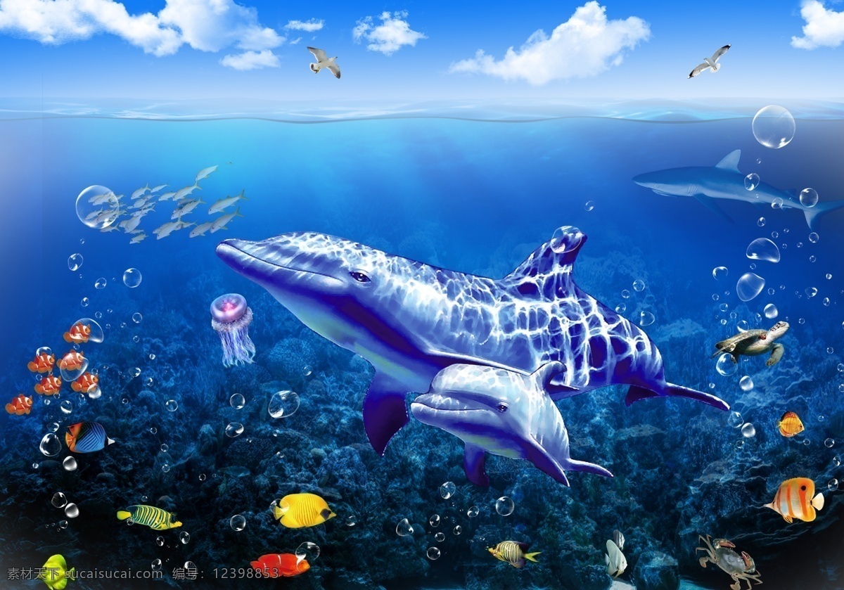 梦幻海底世界 石头鹅卵石 海豚海底世界 梦幻海 现代海底世界 漫画海底 沙滩海景 海景海底世界 海洋海底世界 梦幻海底 3d立体 蓝色海洋 男孩 女孩卧室 创意 3d 立体 珊瑚 热带鱼 海鱼 海豚 鲸鱼 蓝色 水底 梦幻 墙纸儿童房 海洋世界 3d海底 海边风景 海洋 美人鱼 鲨鱼 生物世界 鱼类