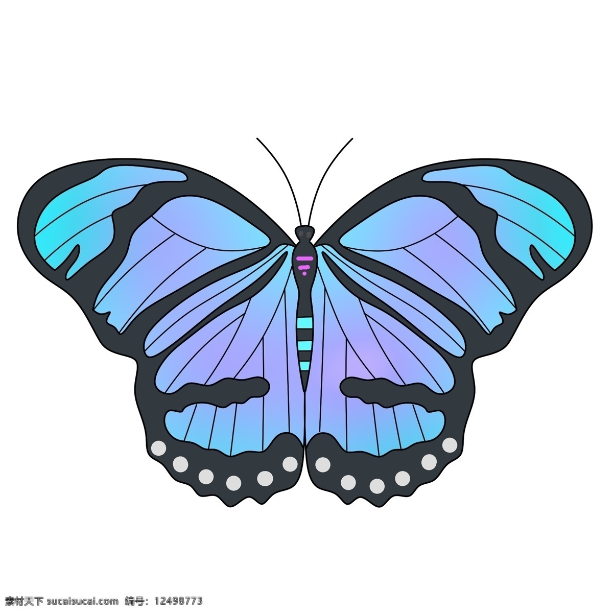 美丽 彩色 蝴蝶 插画 一只蝴蝶 彩色蝴蝶 漂亮的蝴蝶 漂亮