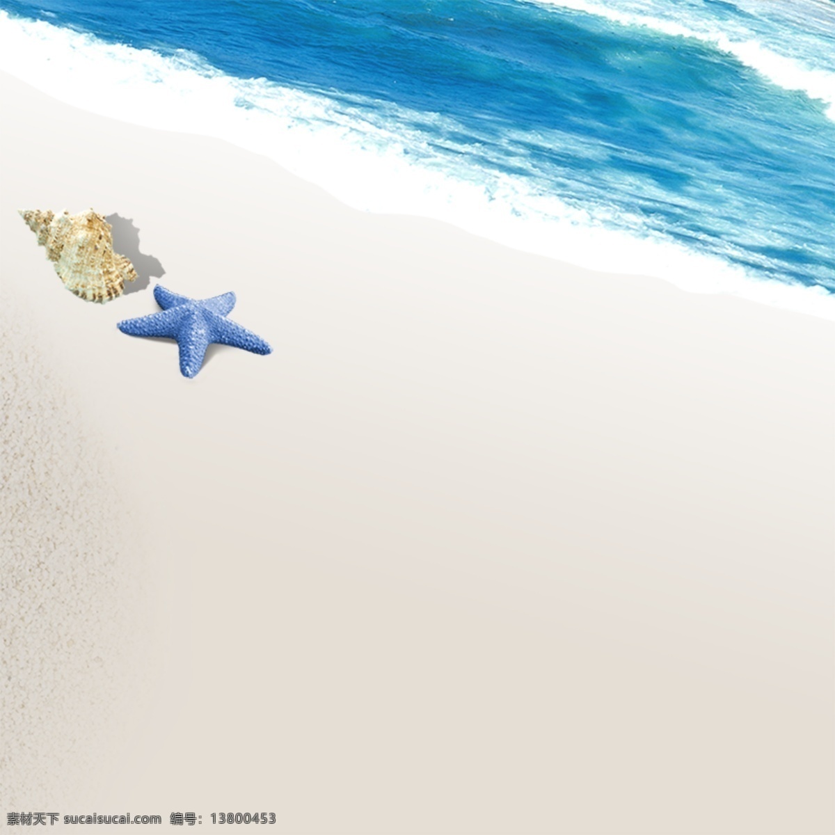 清新沙滩背景 海洋 沙滩 蓝天 白云 海鸥 帆船 海星 贝壳 椰子树 许愿瓶 惬意盎然 心旷神怡 相片 源文件库 广告设计模板 展板模板 白色