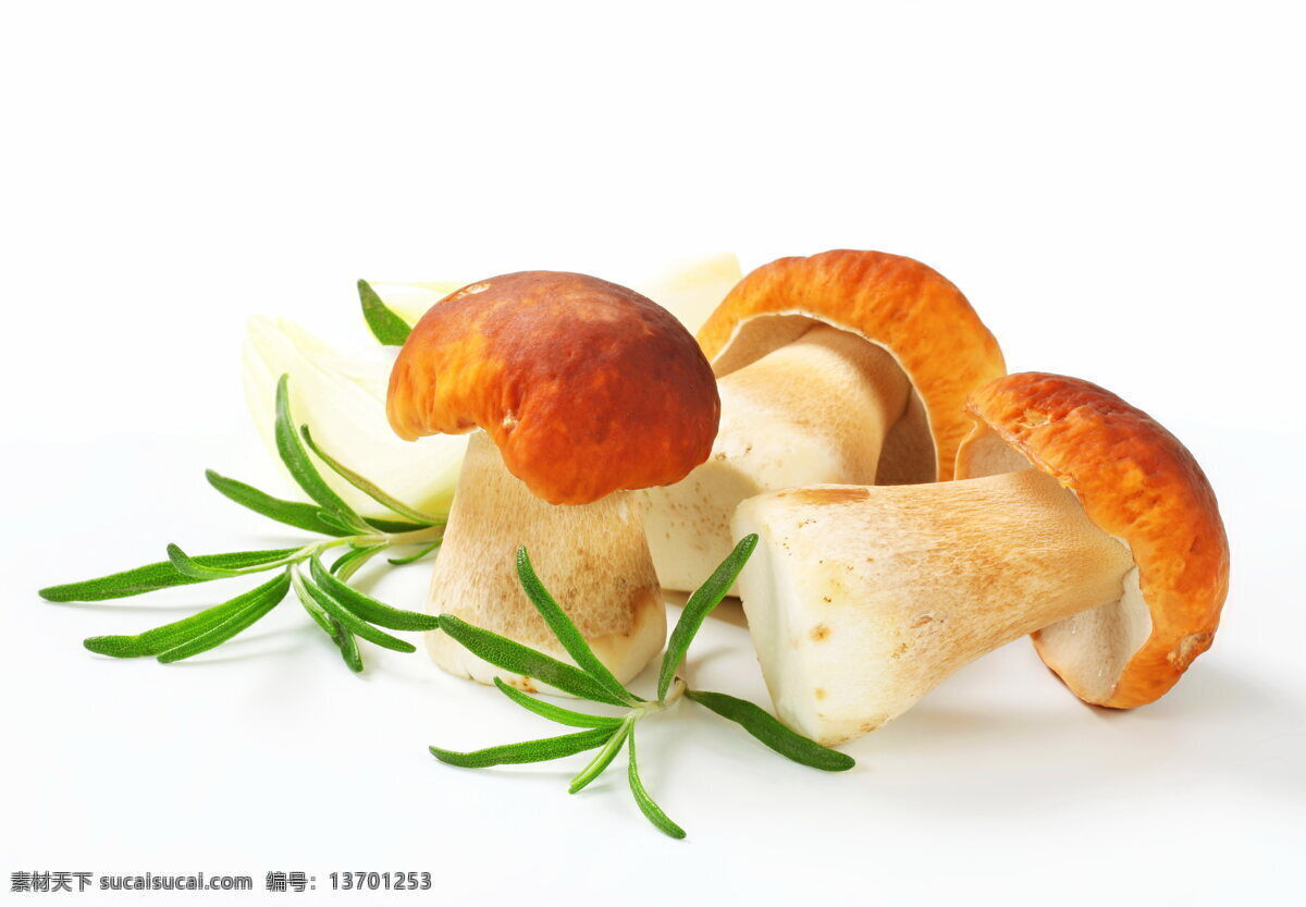 唯美 美味 食物 食品 原料 菌类 蘑菇 原生态菌类 新鲜蘑菇 餐饮美食 食物原料