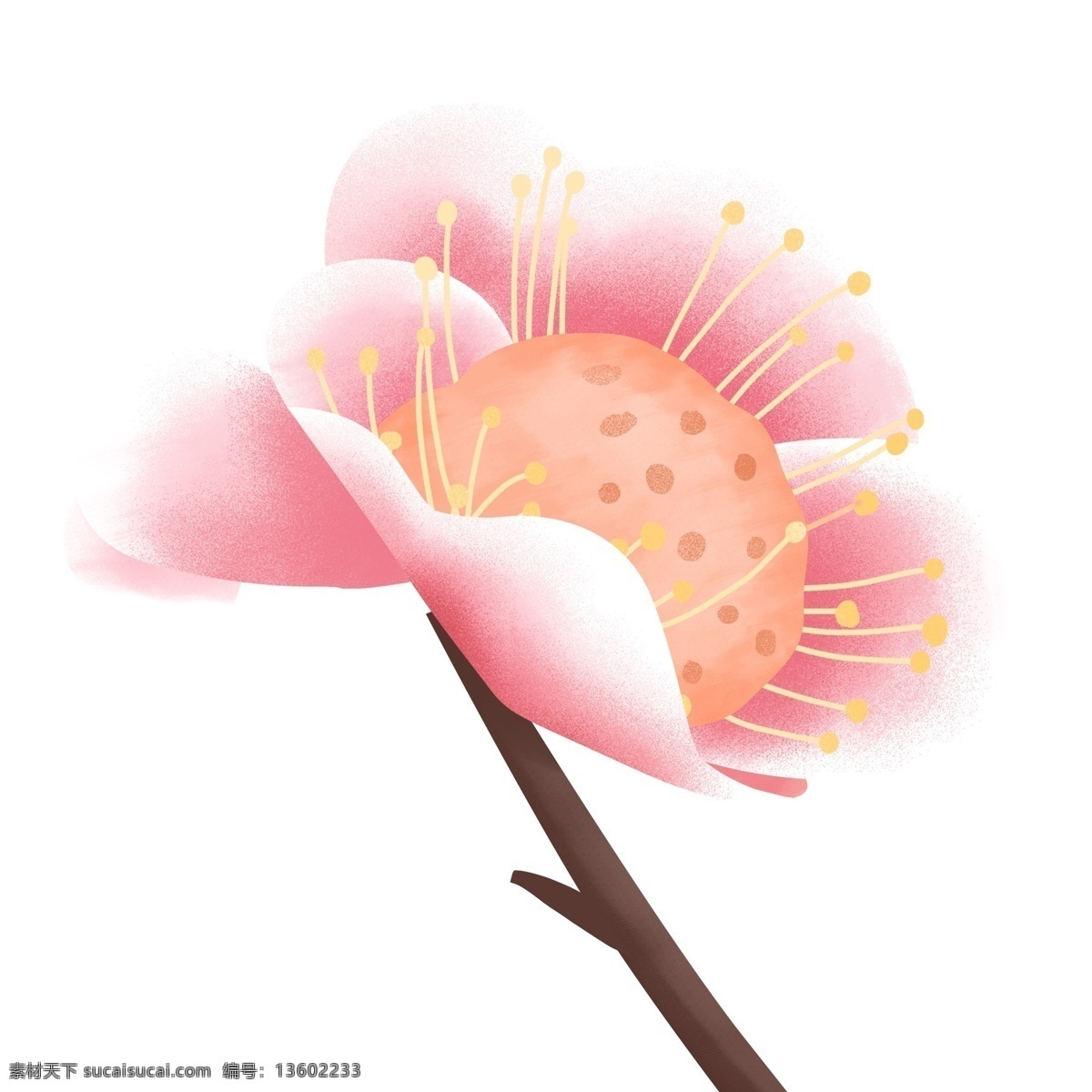 温馨 浪漫 朵 粉色 花 唯美 手绘 卡通 桃花 春天 植物 花卉 插画元素