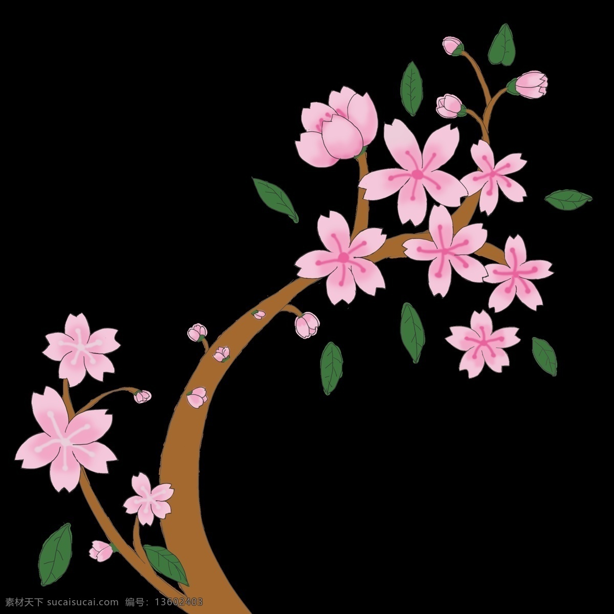 樱 花花 枝枝 藤 插画 樱花枝 小清新樱花 绽放黄色樱花 粉色樱花枝 鲜花花朵插画 花枝 枝藤 樱花插画