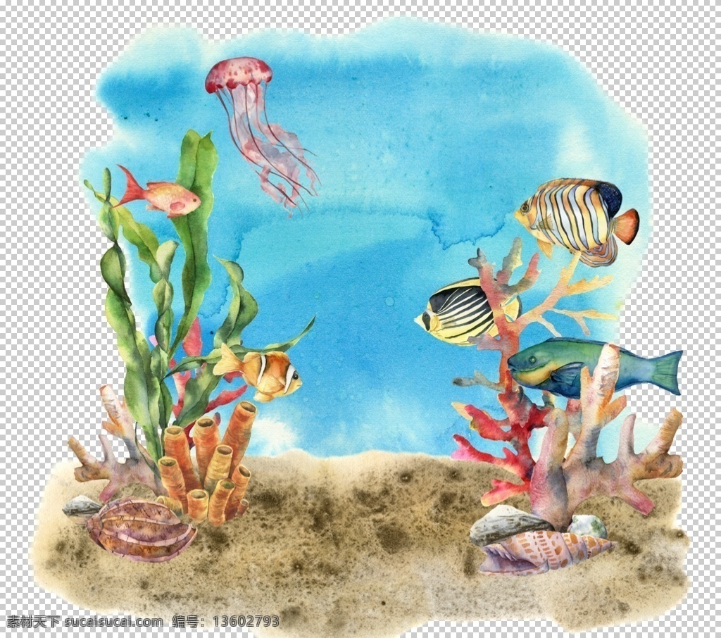 海洋 主题 插画 图案 海螺贝类 海洋生物 热带鱼群 水彩插画 海底世界 海洋生物插画 鱼群插画 装饰图案 水草植物插画