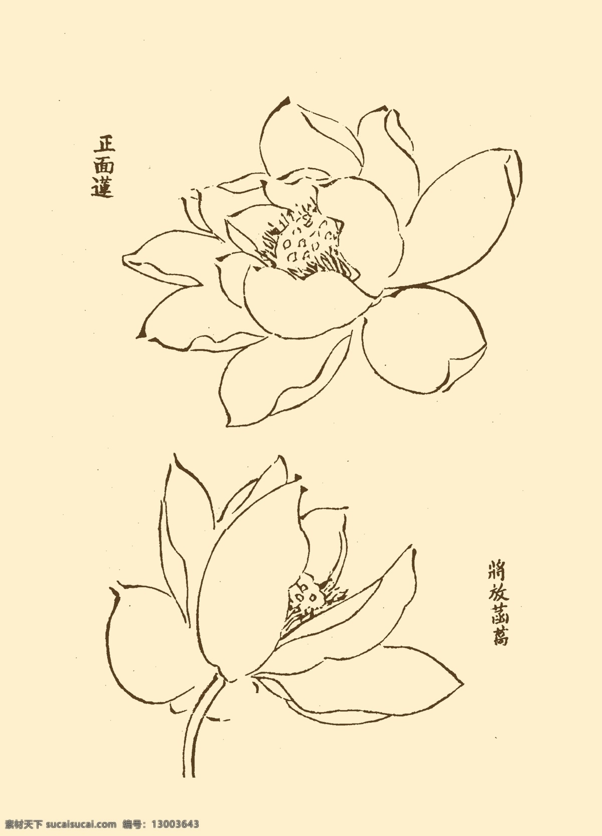 芥子园画谱 花卉 山水 国画 中国画 水墨画 写意画 荷花 莲花 分层 源文件